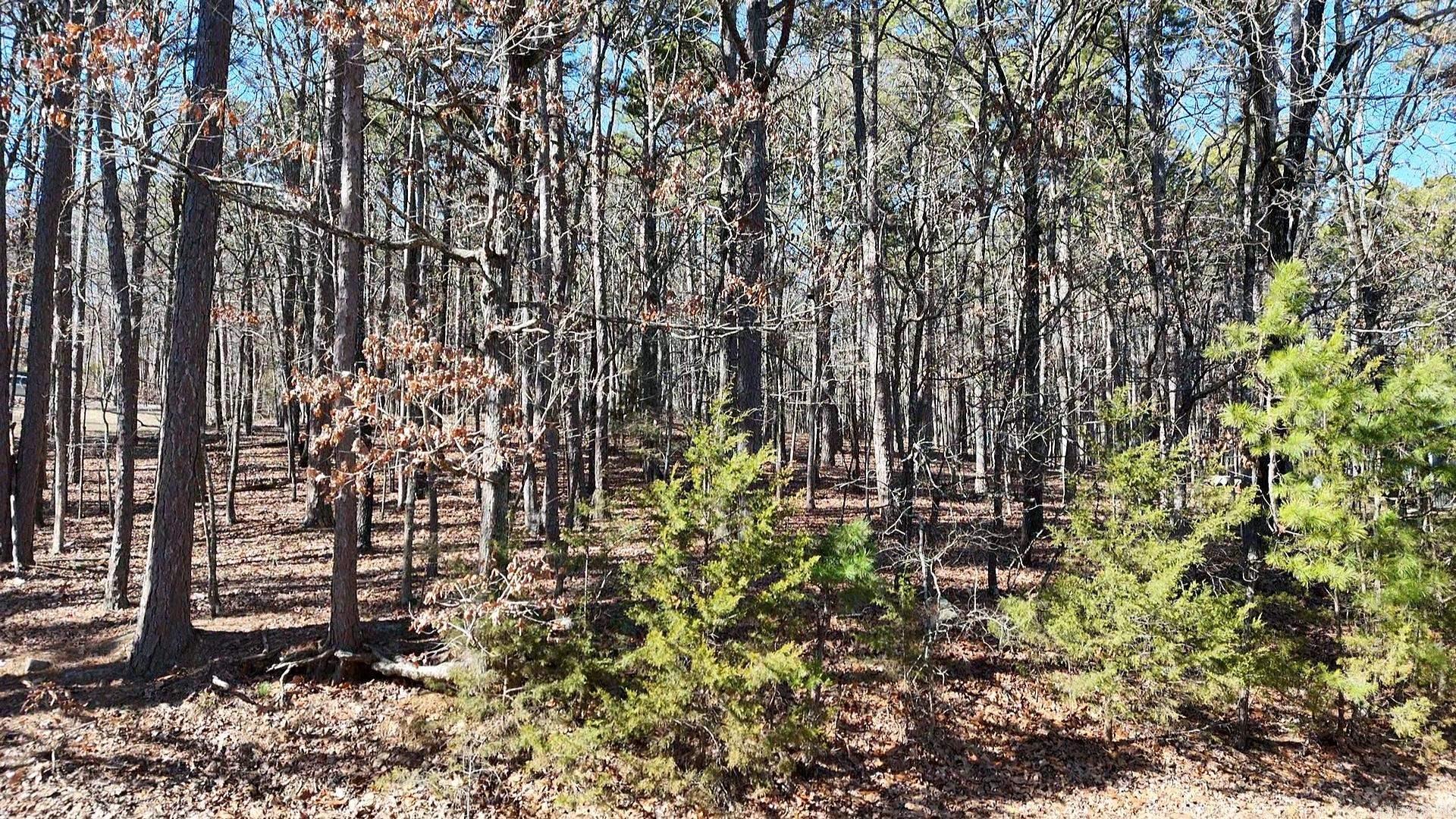 256 Lakeside  Fairfield Bay, AR