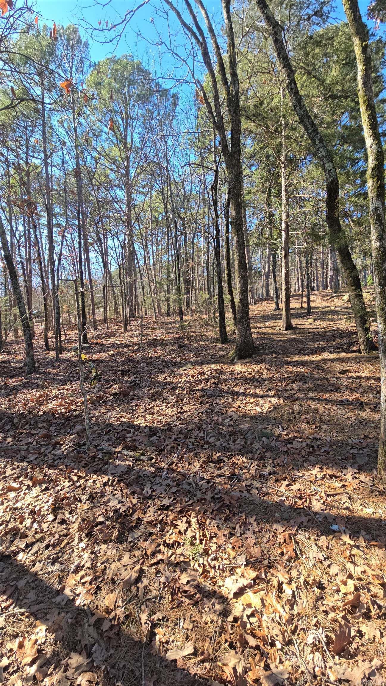 256 Lakeside  Fairfield Bay, AR