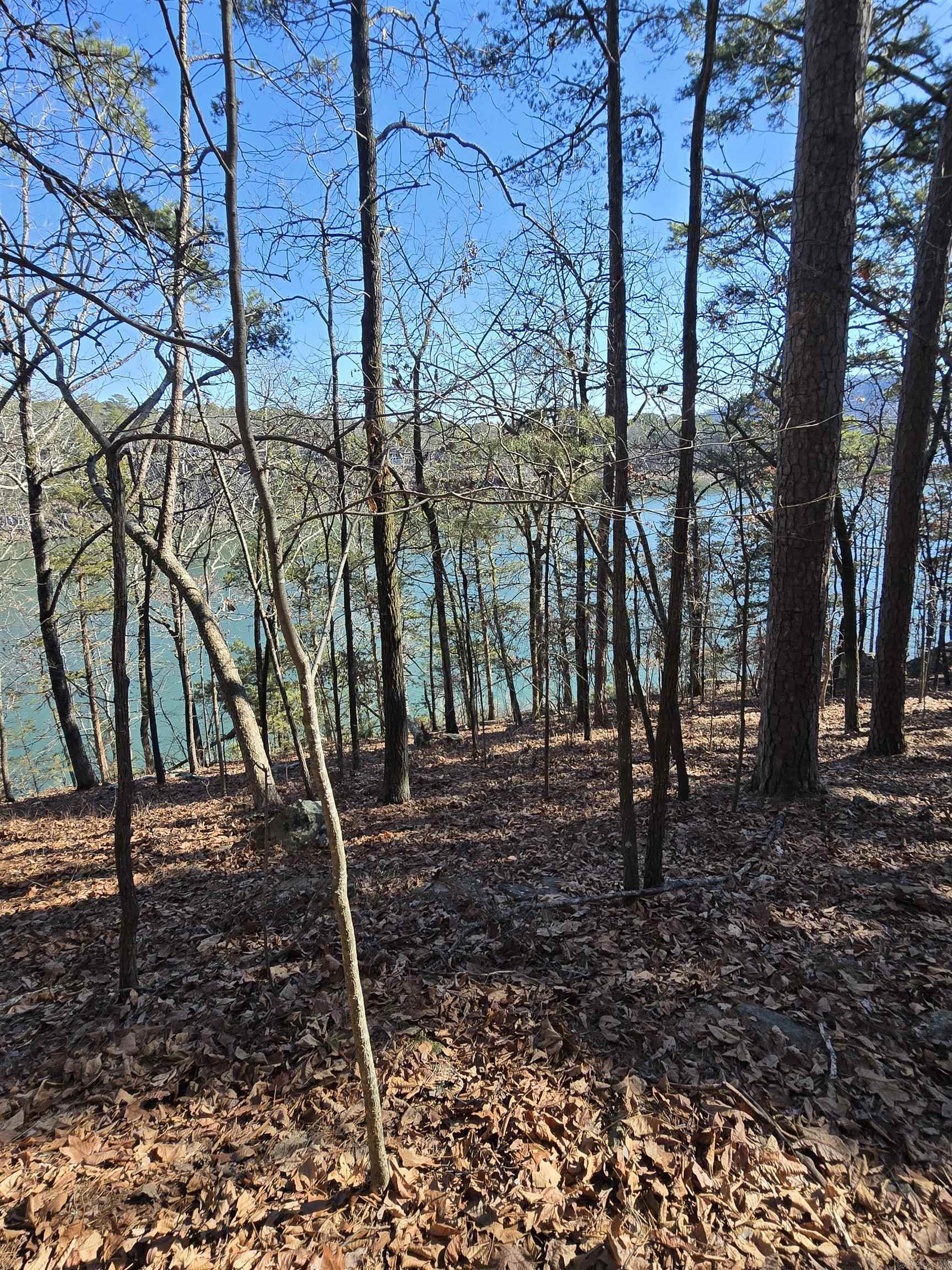 256 Lakeside  Fairfield Bay, AR