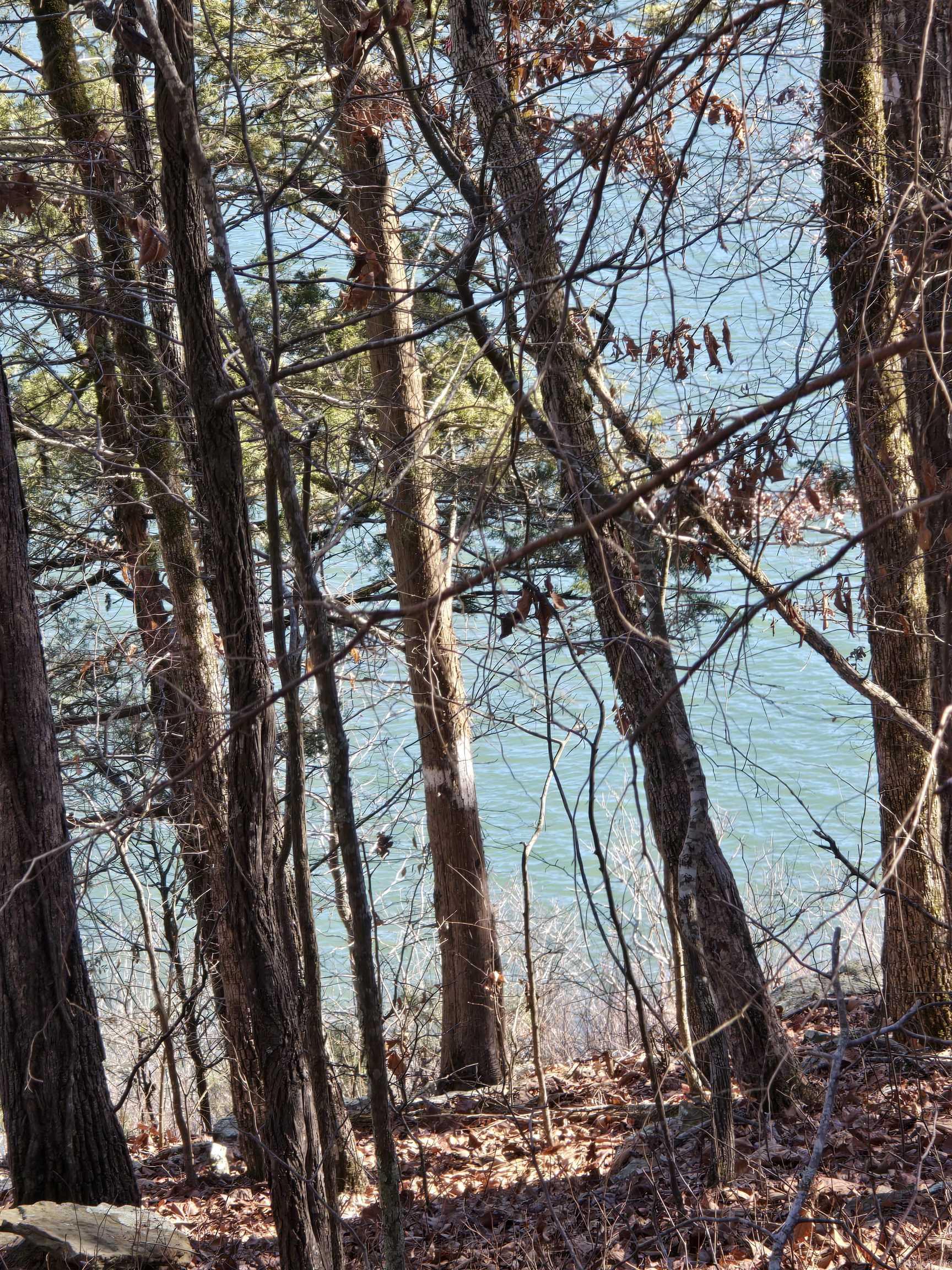 256 Lakeside  Fairfield Bay, AR