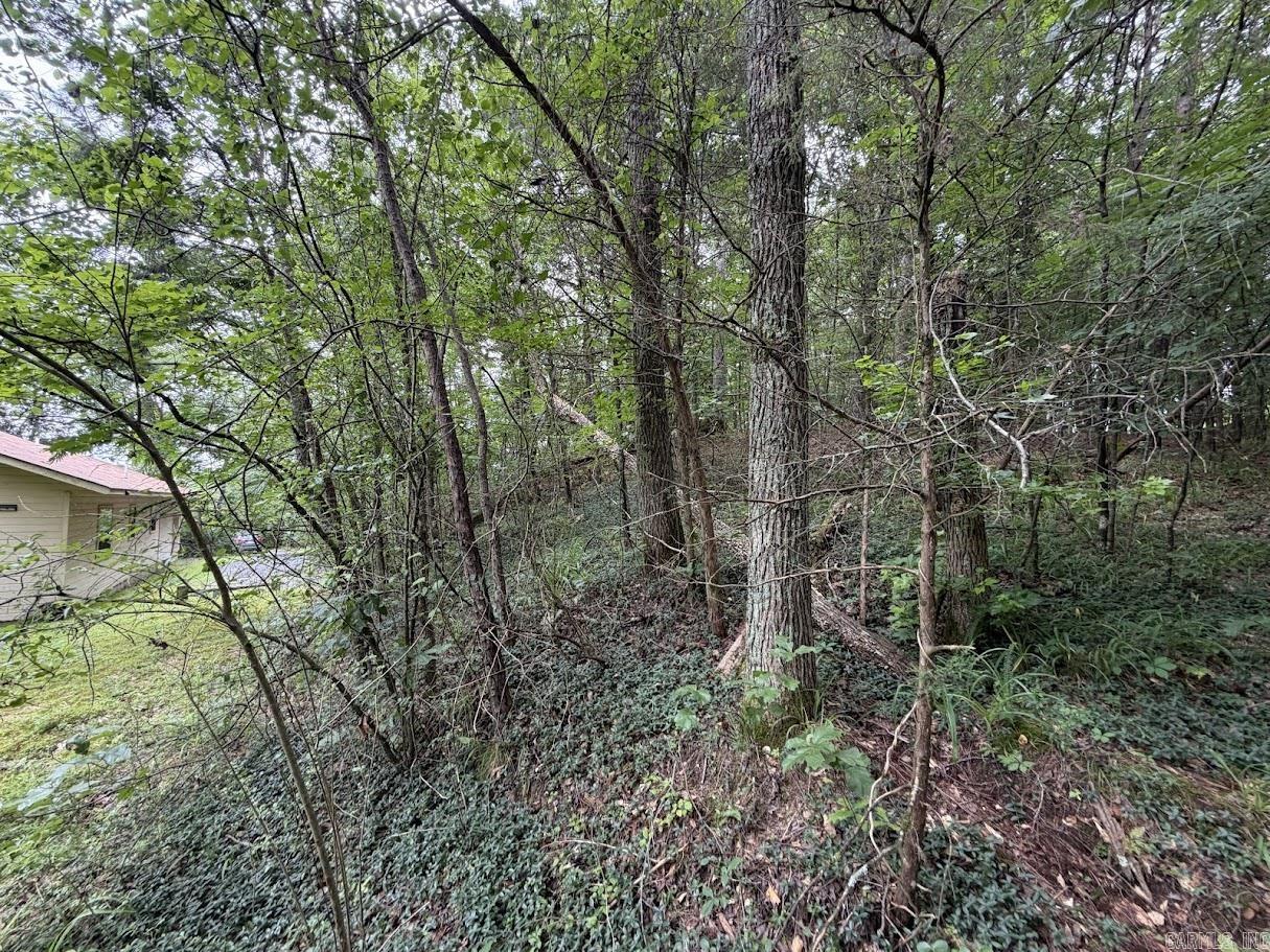 3505 Hwy 71 S 3501 Hwy 71 S Mena, AR