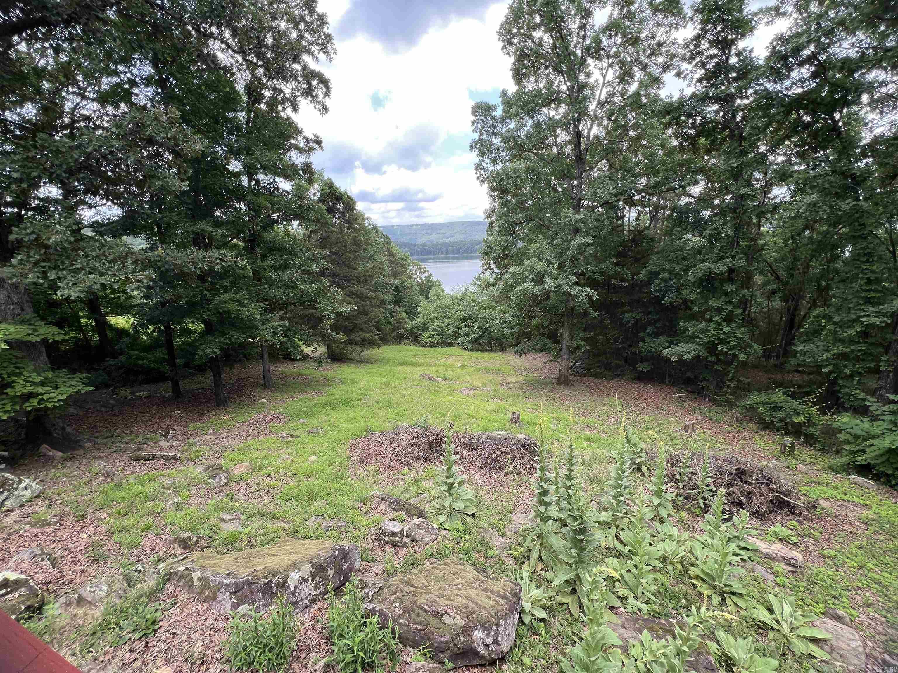 438 Harpers Cove  Shirley, AR