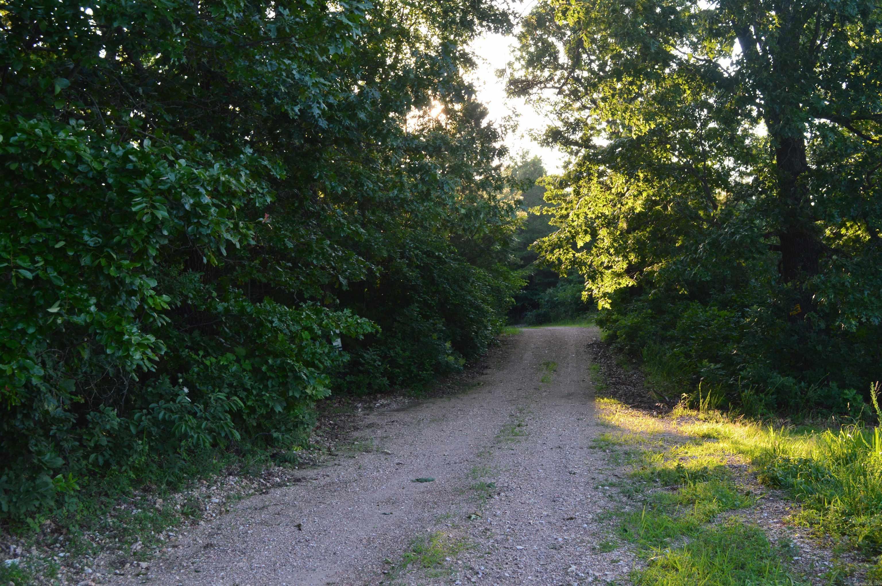 TBD Schnauzer Ln  Harriet, AR
