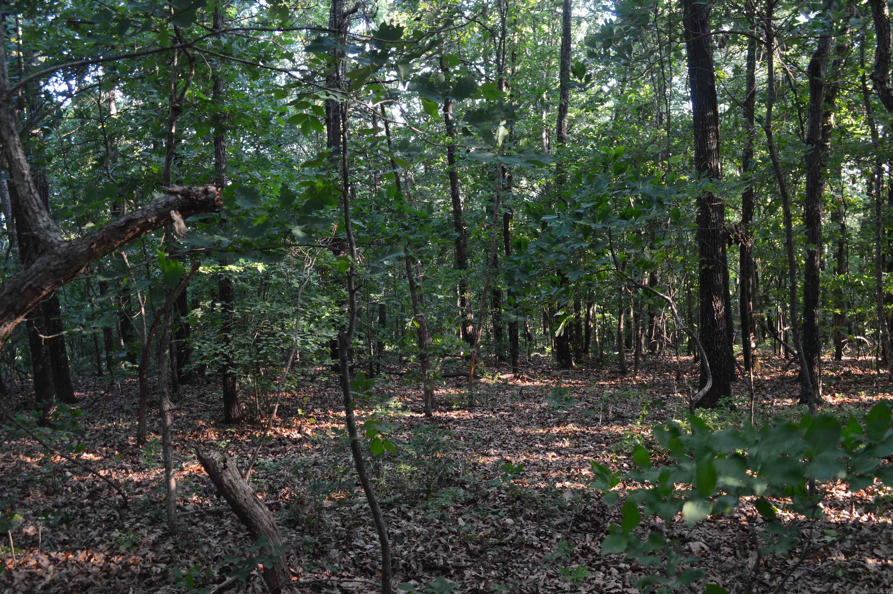 TBD Schnauzer Ln  Harriet, AR