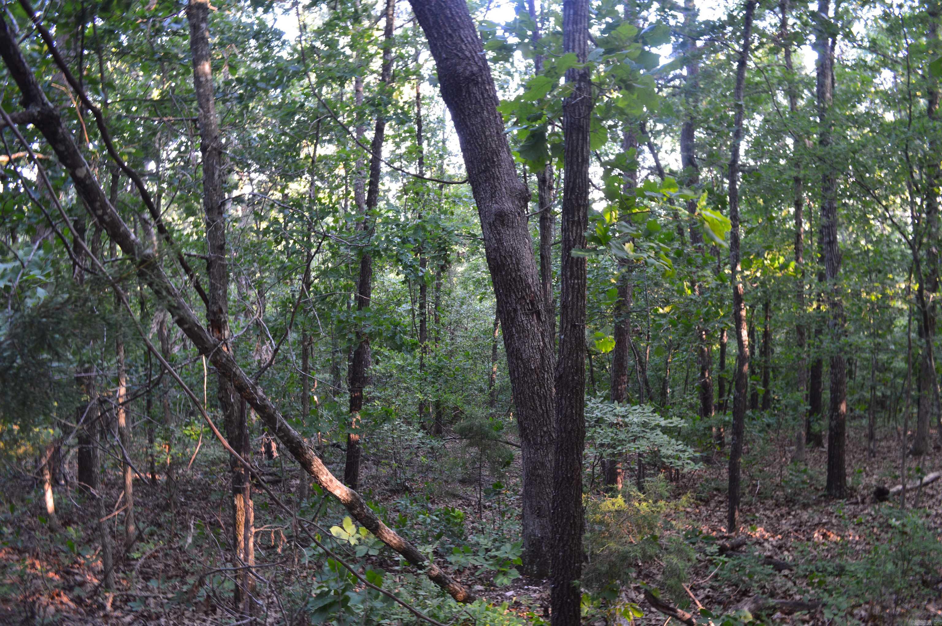 TBD Schnauzer Ln  Harriet, AR
