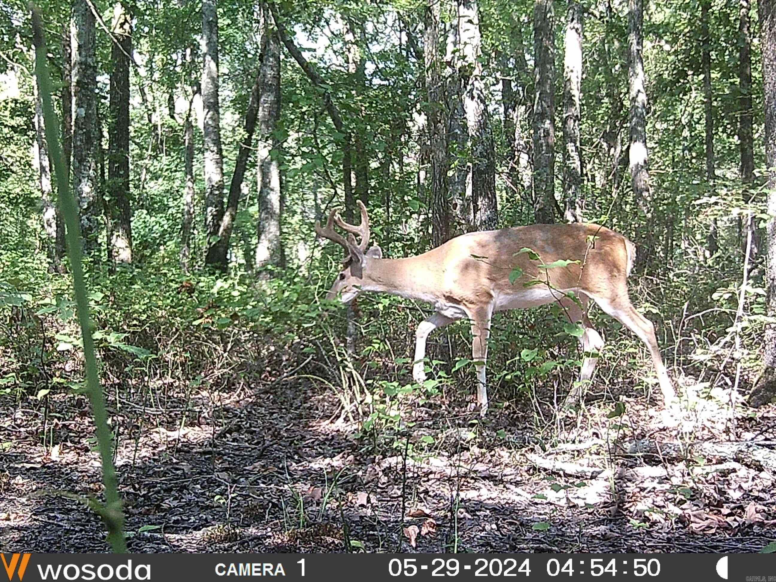  Hwy 64  Beebe, AR