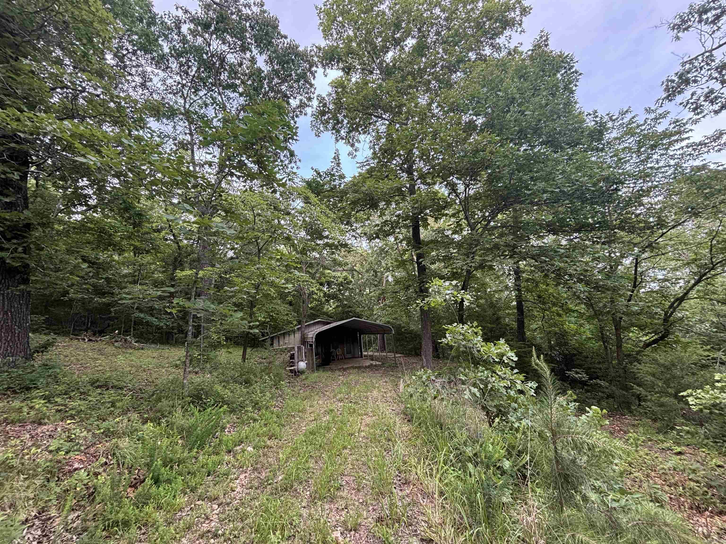 124 Bluffs  Mountain View, AR