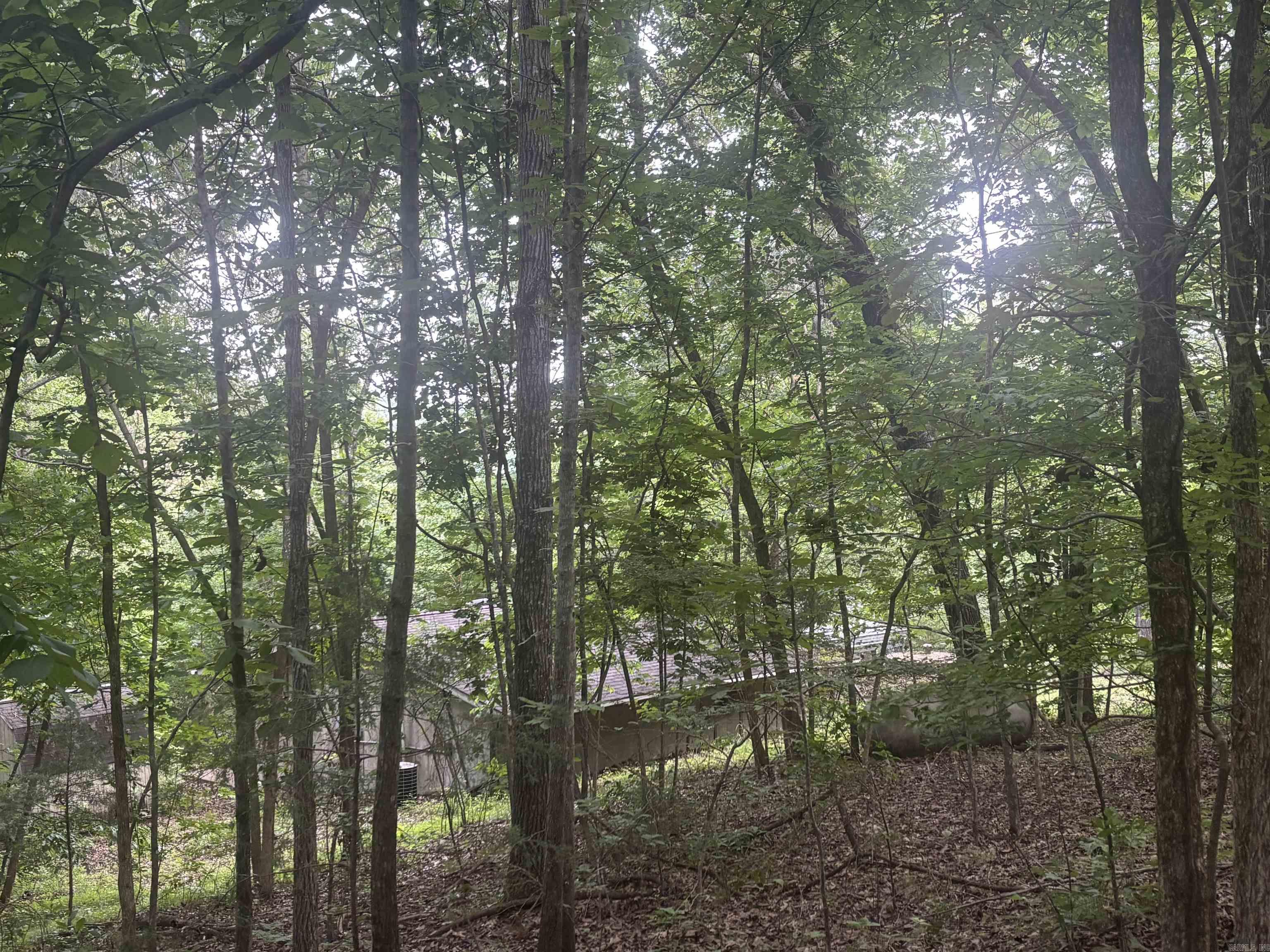 124 Bluffs  Mountain View, AR