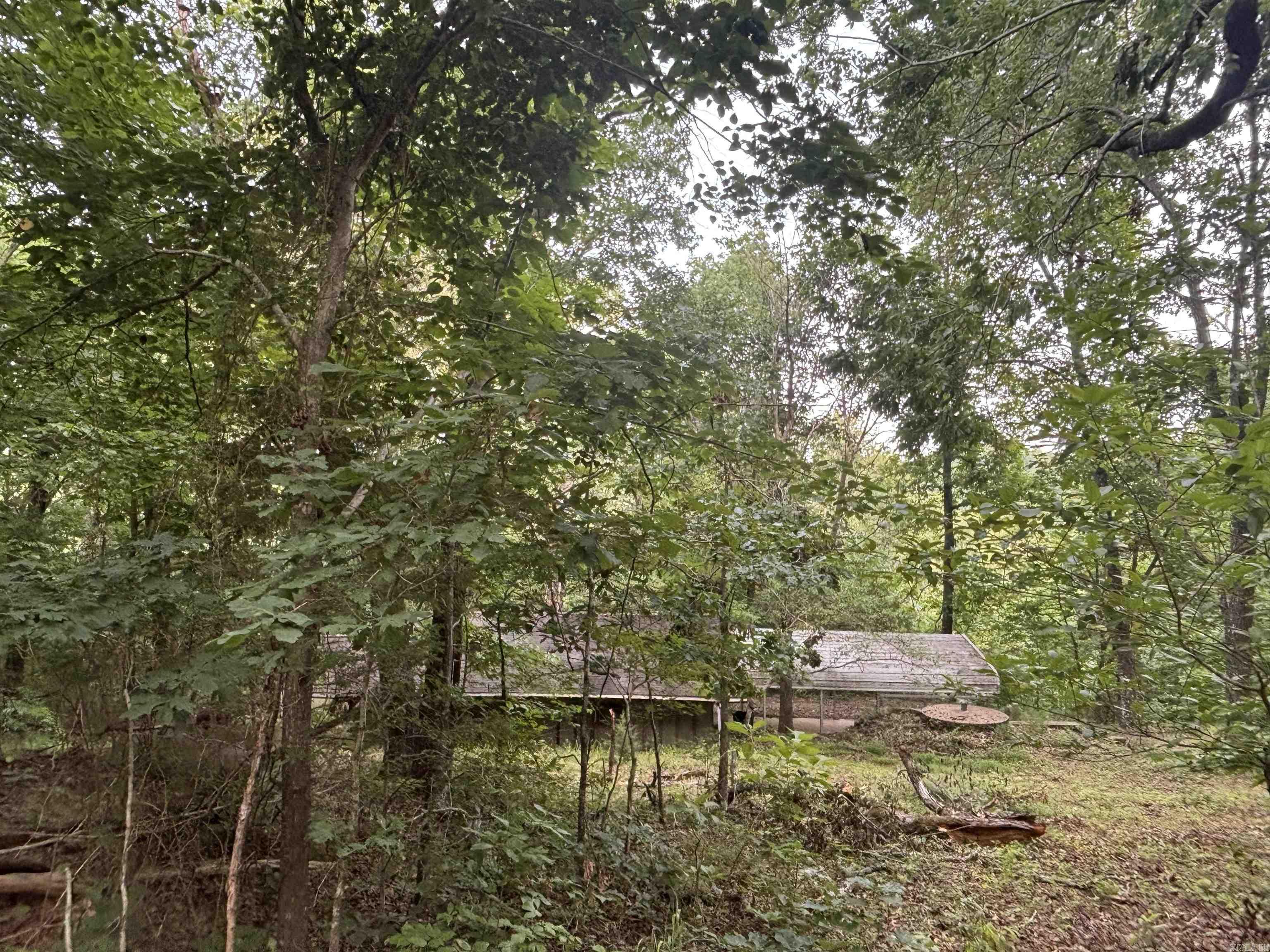 124 Bluffs  Mountain View, AR