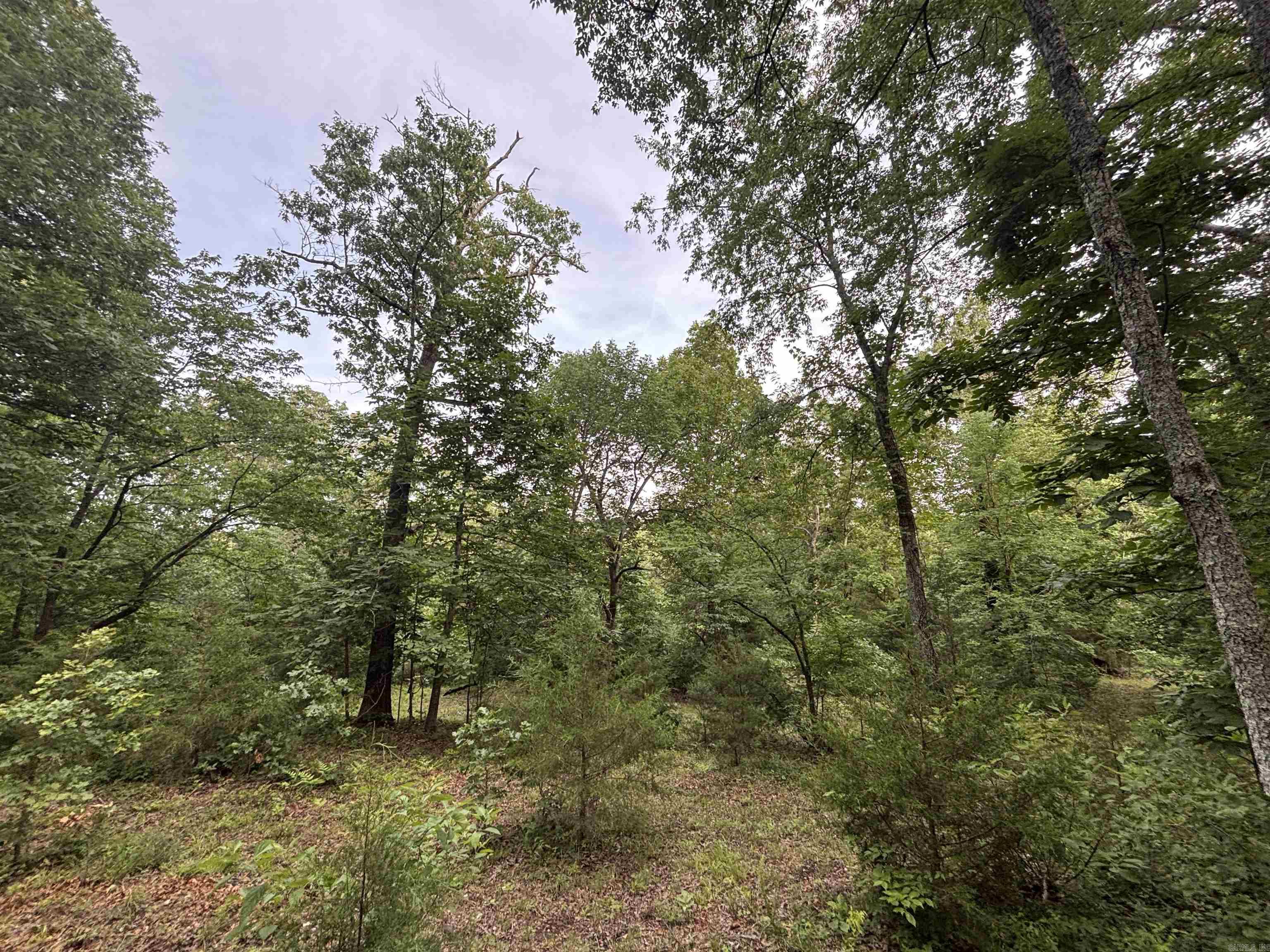 124 Bluffs  Mountain View, AR
