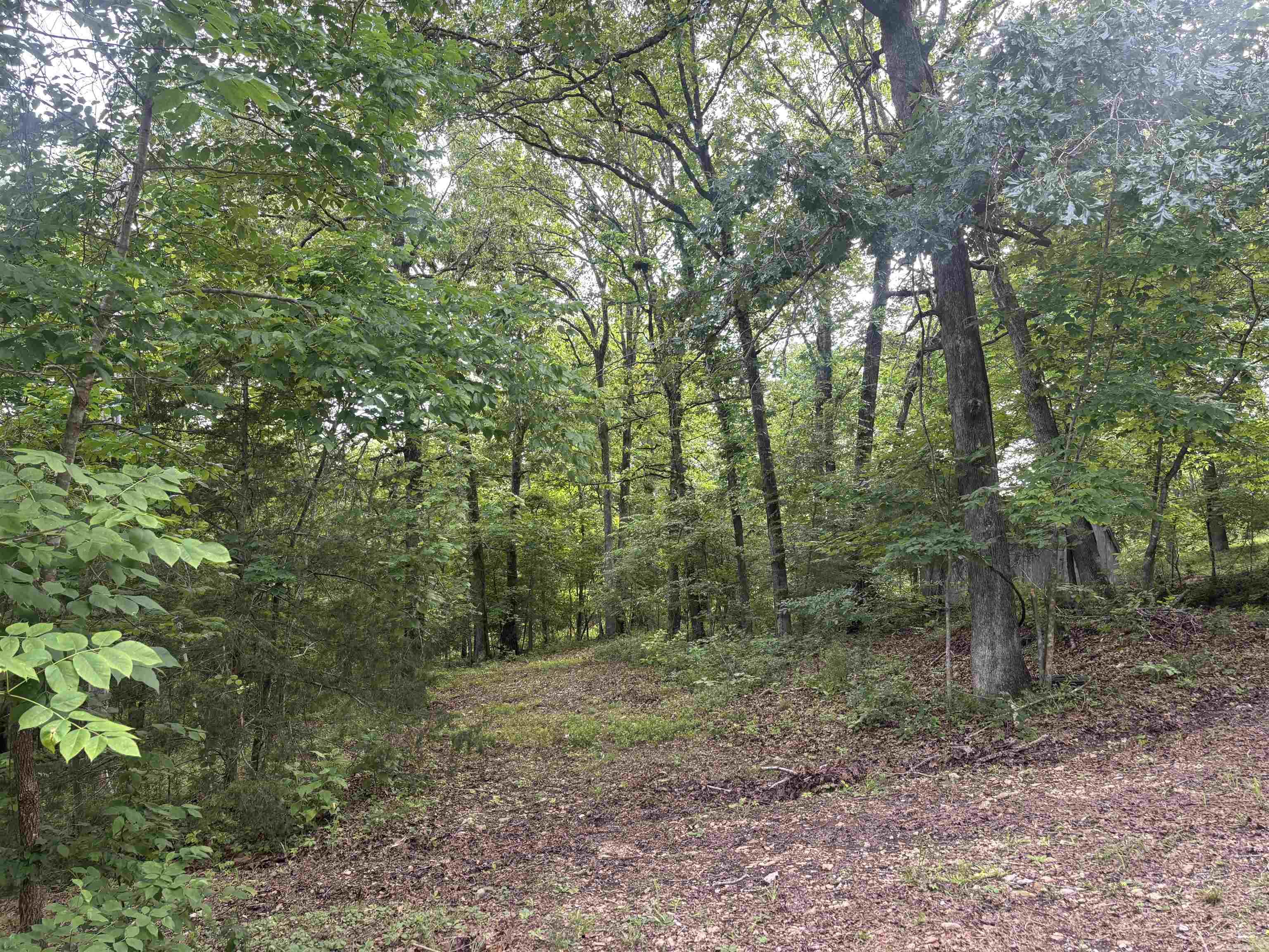 124 Bluffs  Mountain View, AR