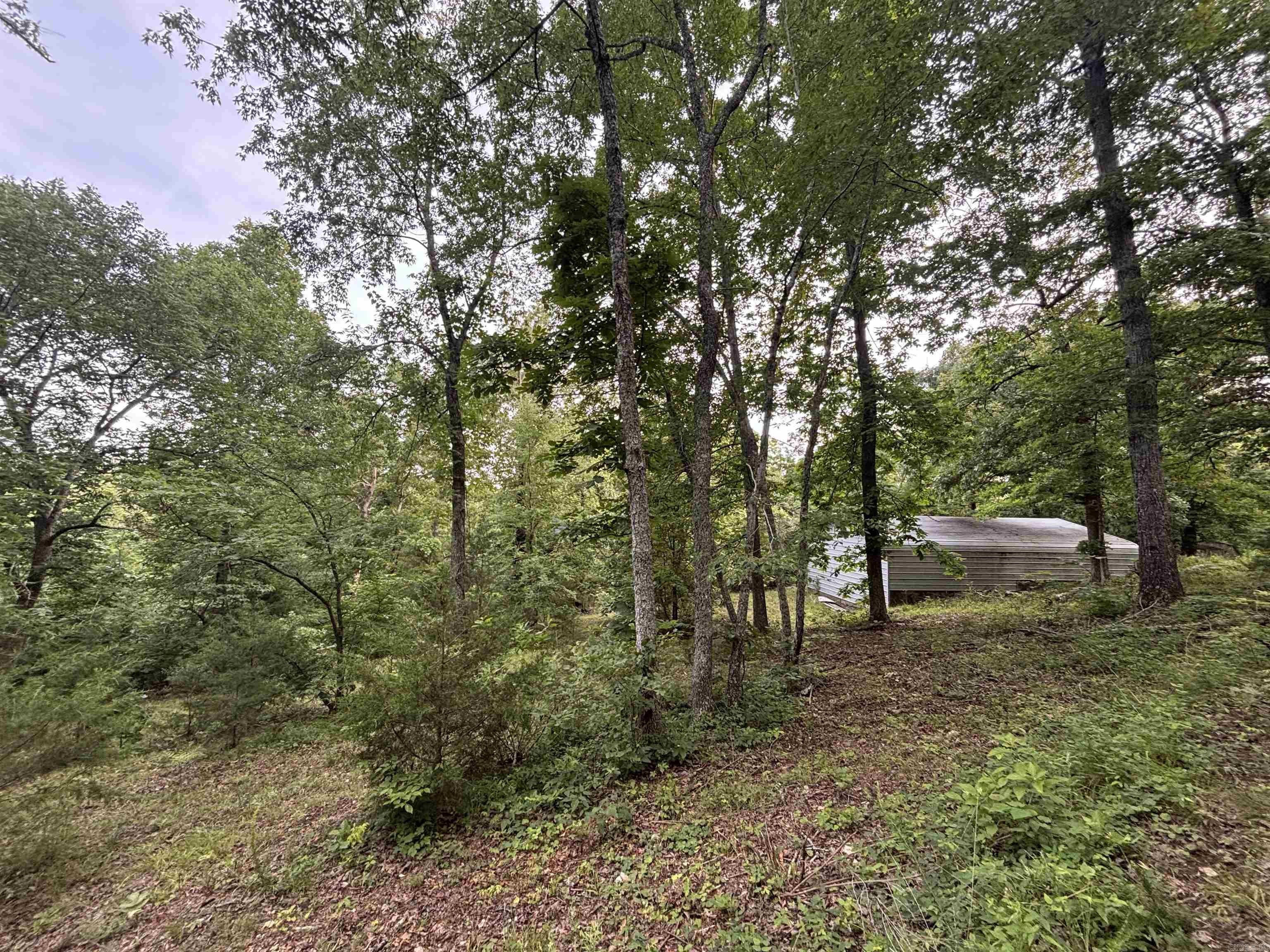 124 Bluffs  Mountain View, AR