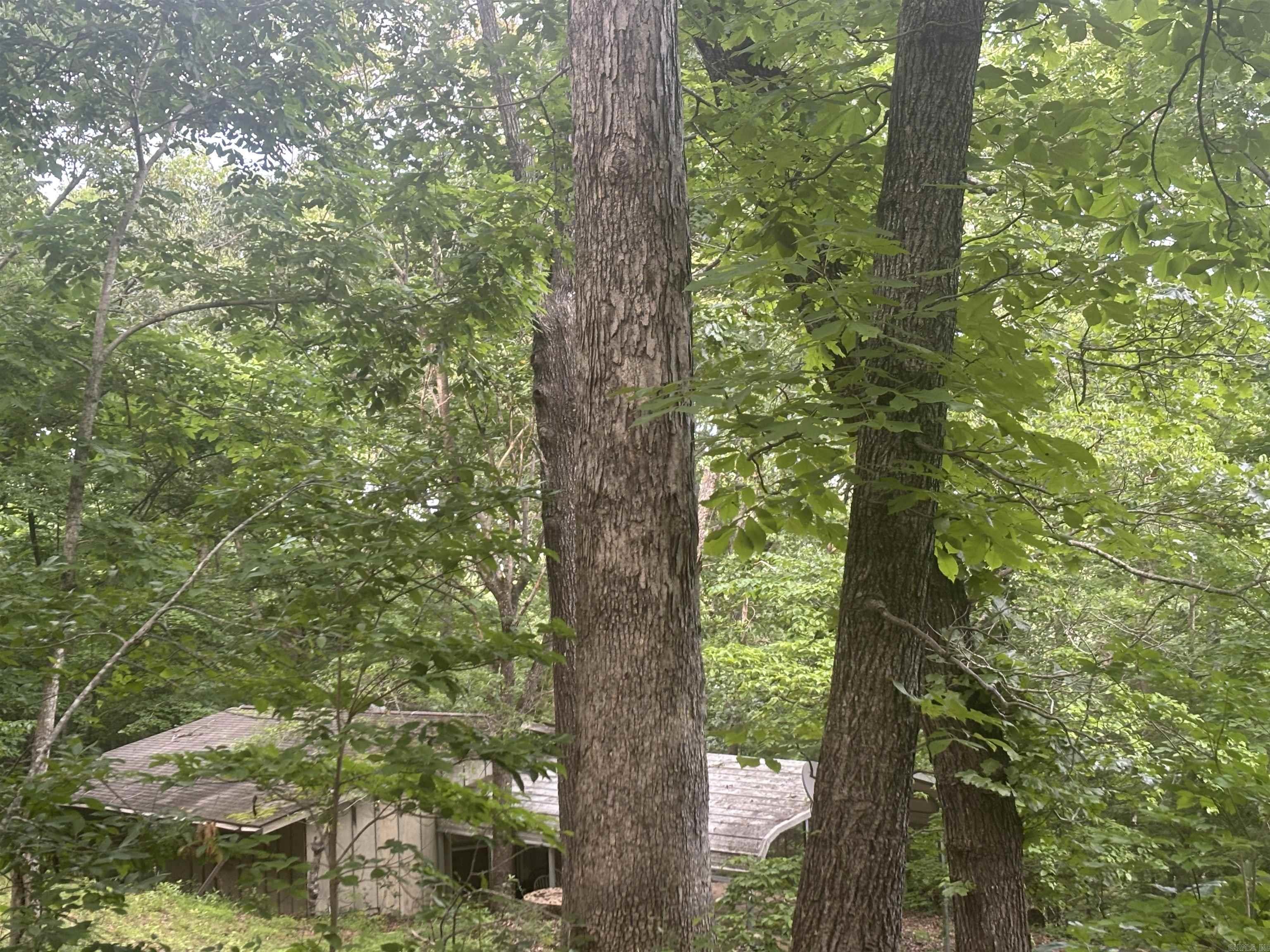 124 Bluffs  Mountain View, AR