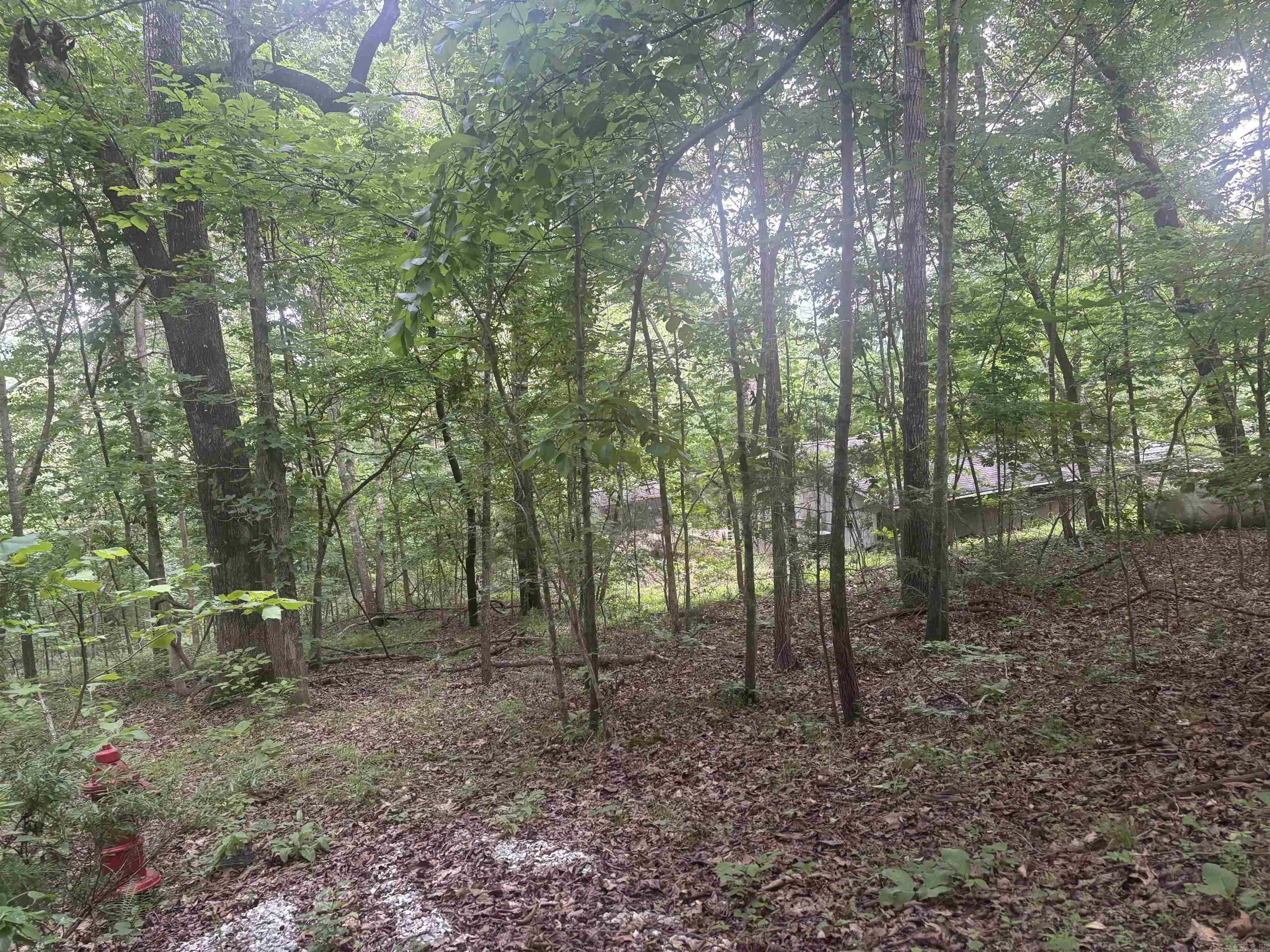 124 Bluffs  Mountain View, AR