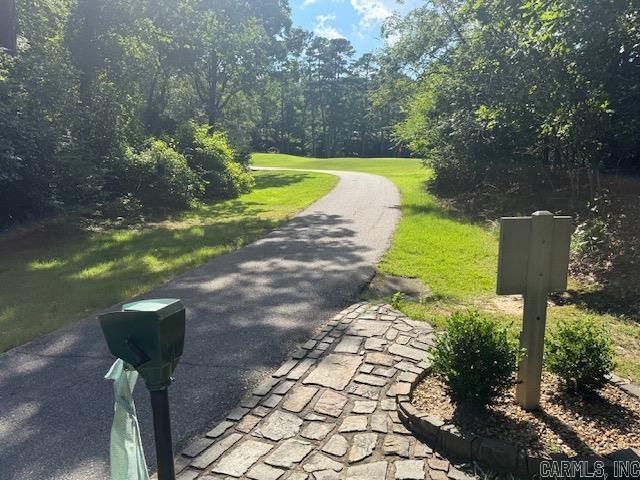 27 Vinca  Hot Springs Village, AR