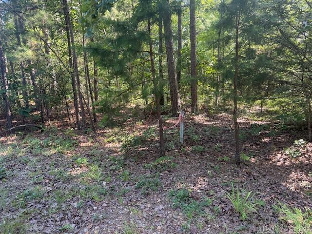 27 Vinca  Hot Springs Village, AR