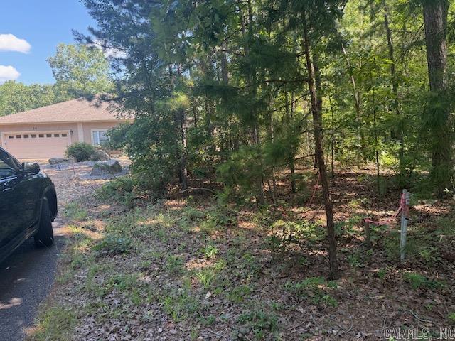 27 Vinca  Hot Springs Village, AR