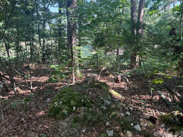 27 Vinca  Hot Springs Village, AR