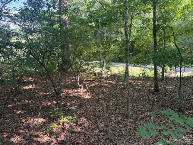 27 Vinca  Hot Springs Village, AR