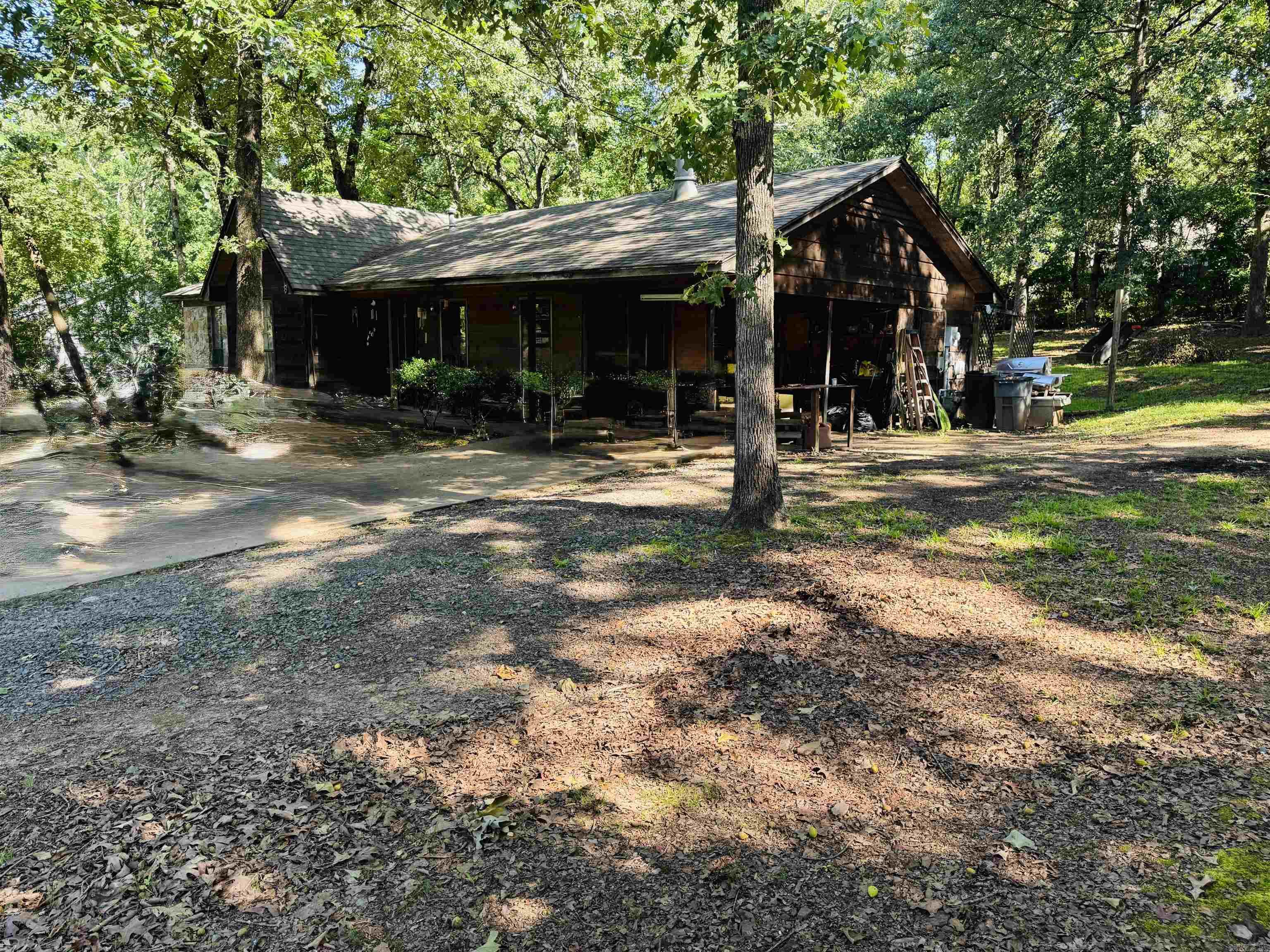 8 Coyote  Conway, AR