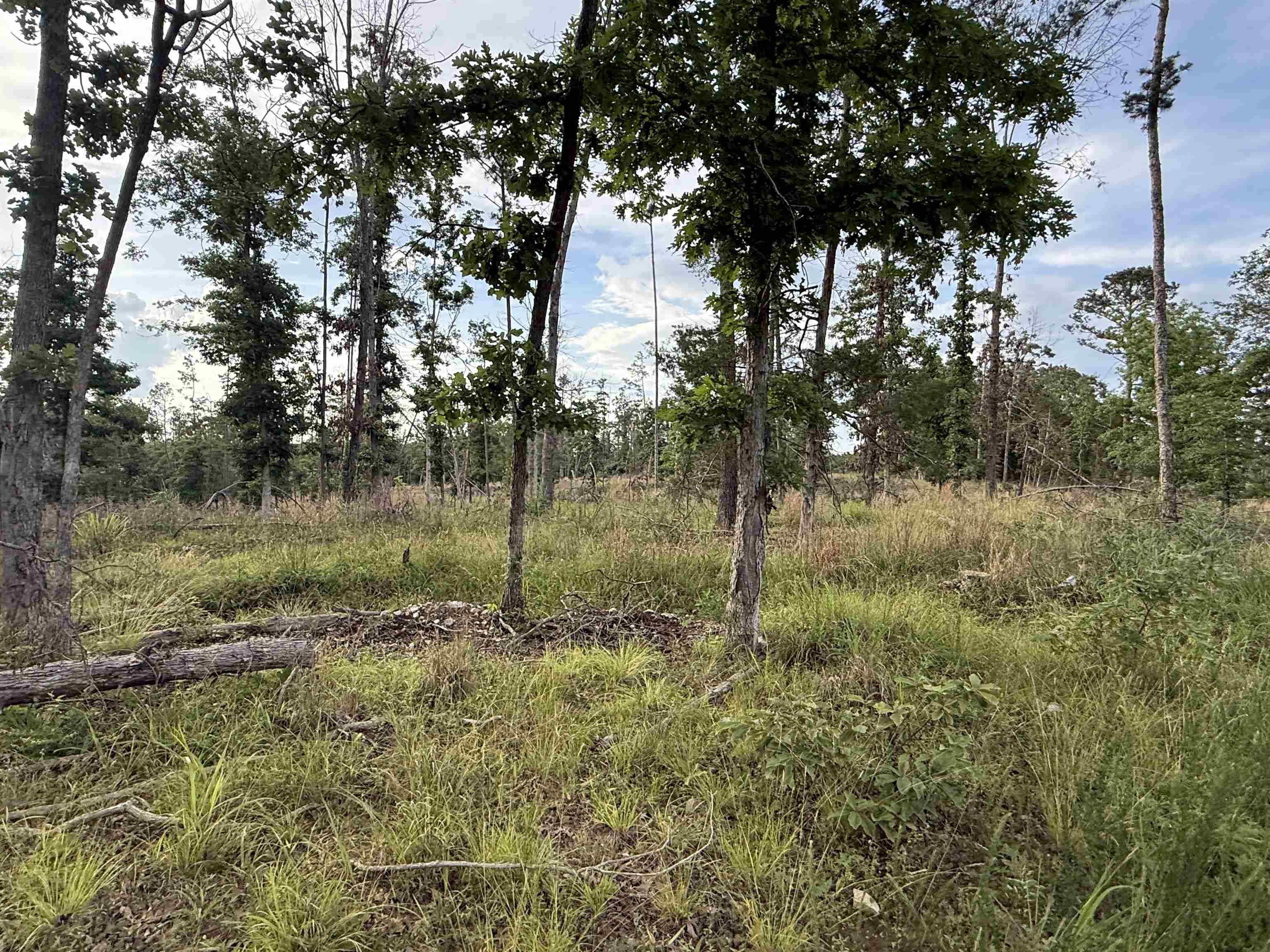 25A Kerley Point Road  Elizabeth, AR