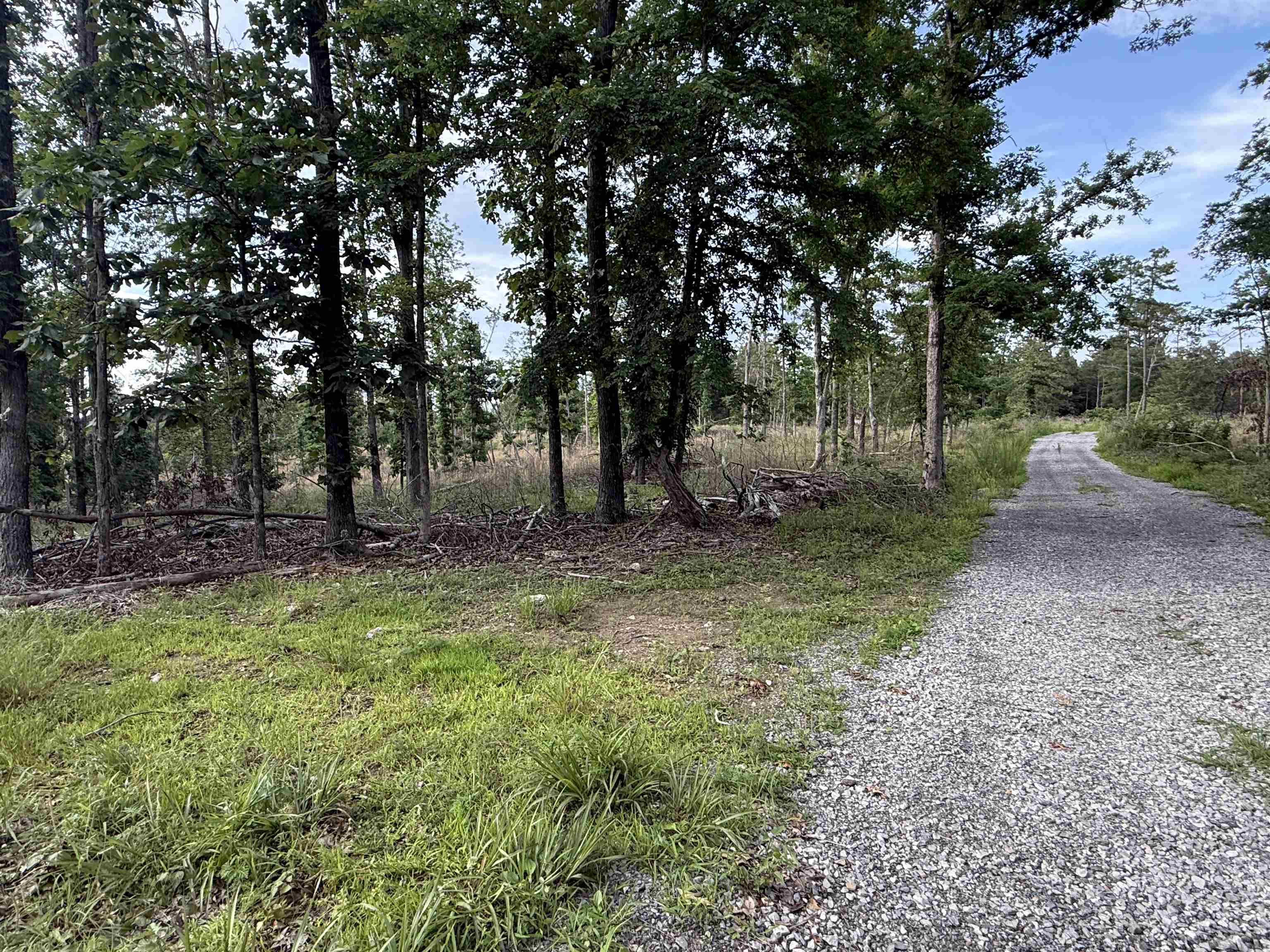 25A Kerley Point Road  Elizabeth, AR