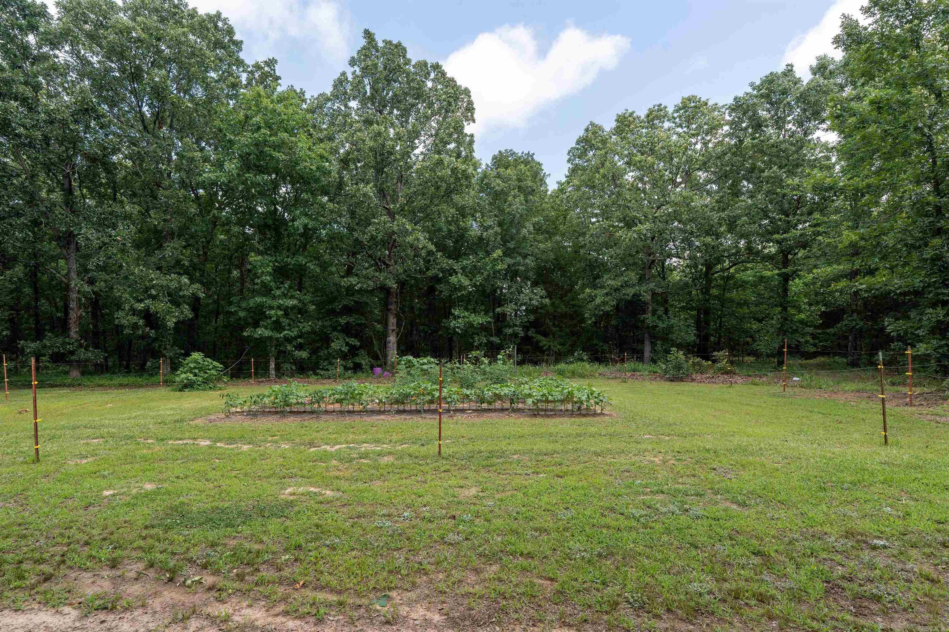 630 Goldmine  Bradford, AR