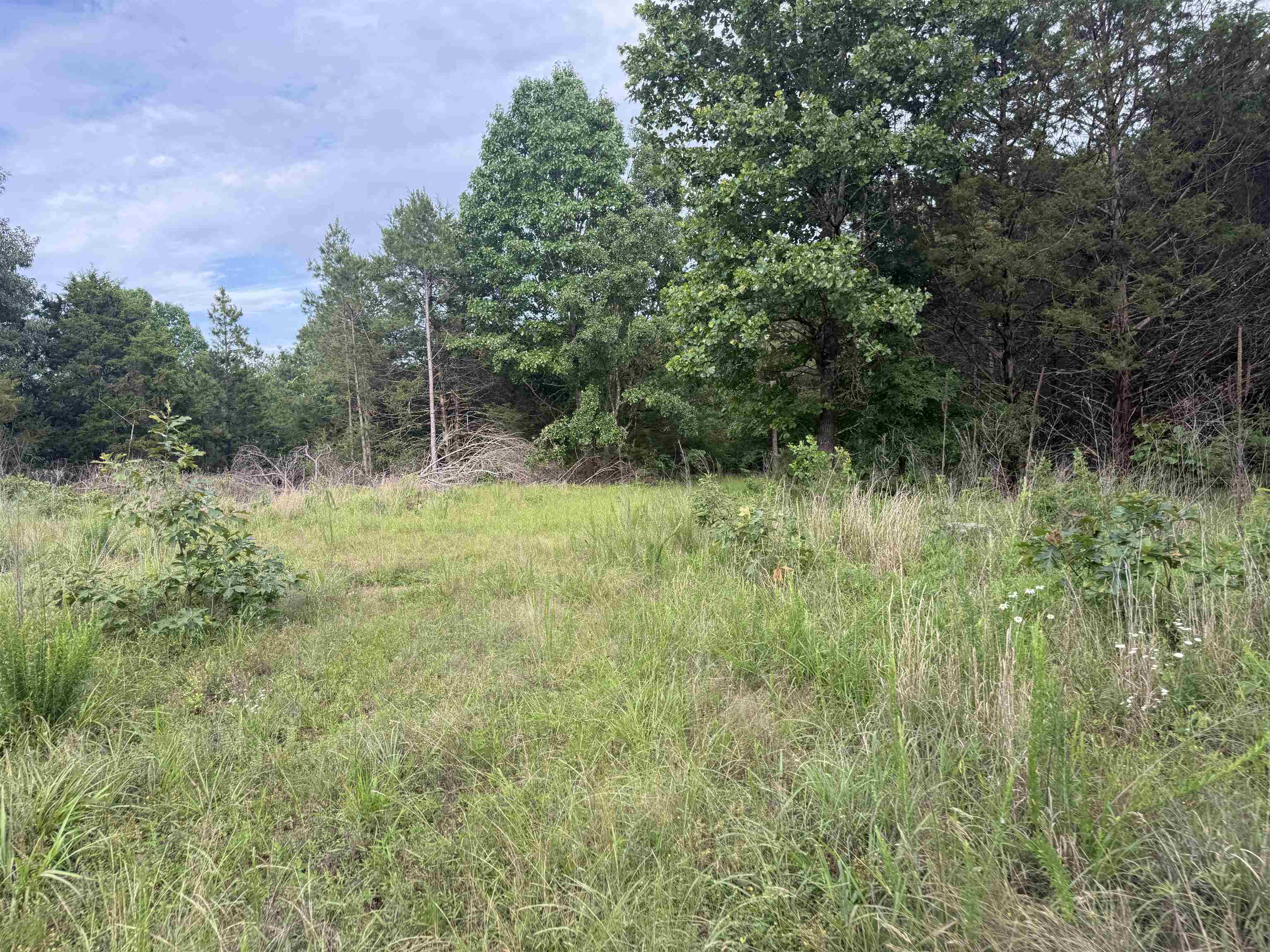 26A Kerley Point Road  Elizabeth, AR