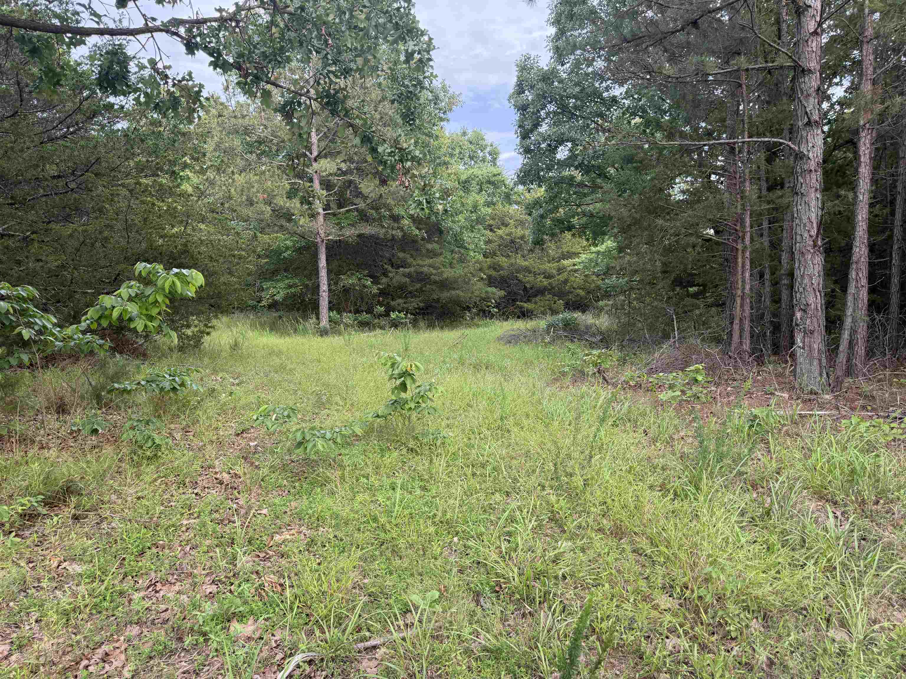 26A Kerley Point Road  Elizabeth, AR