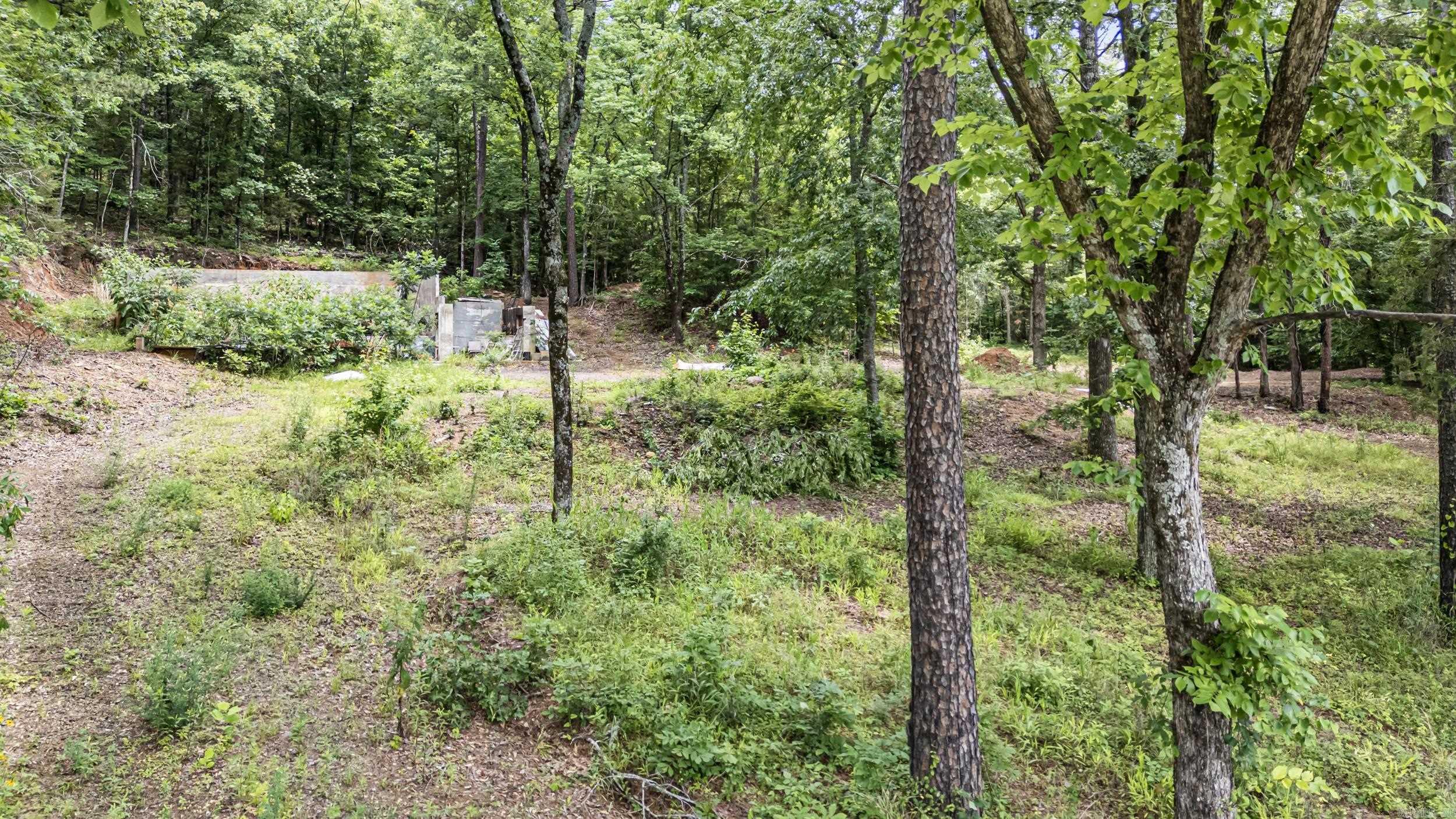 1656 Walnut Valley  Dover, AR