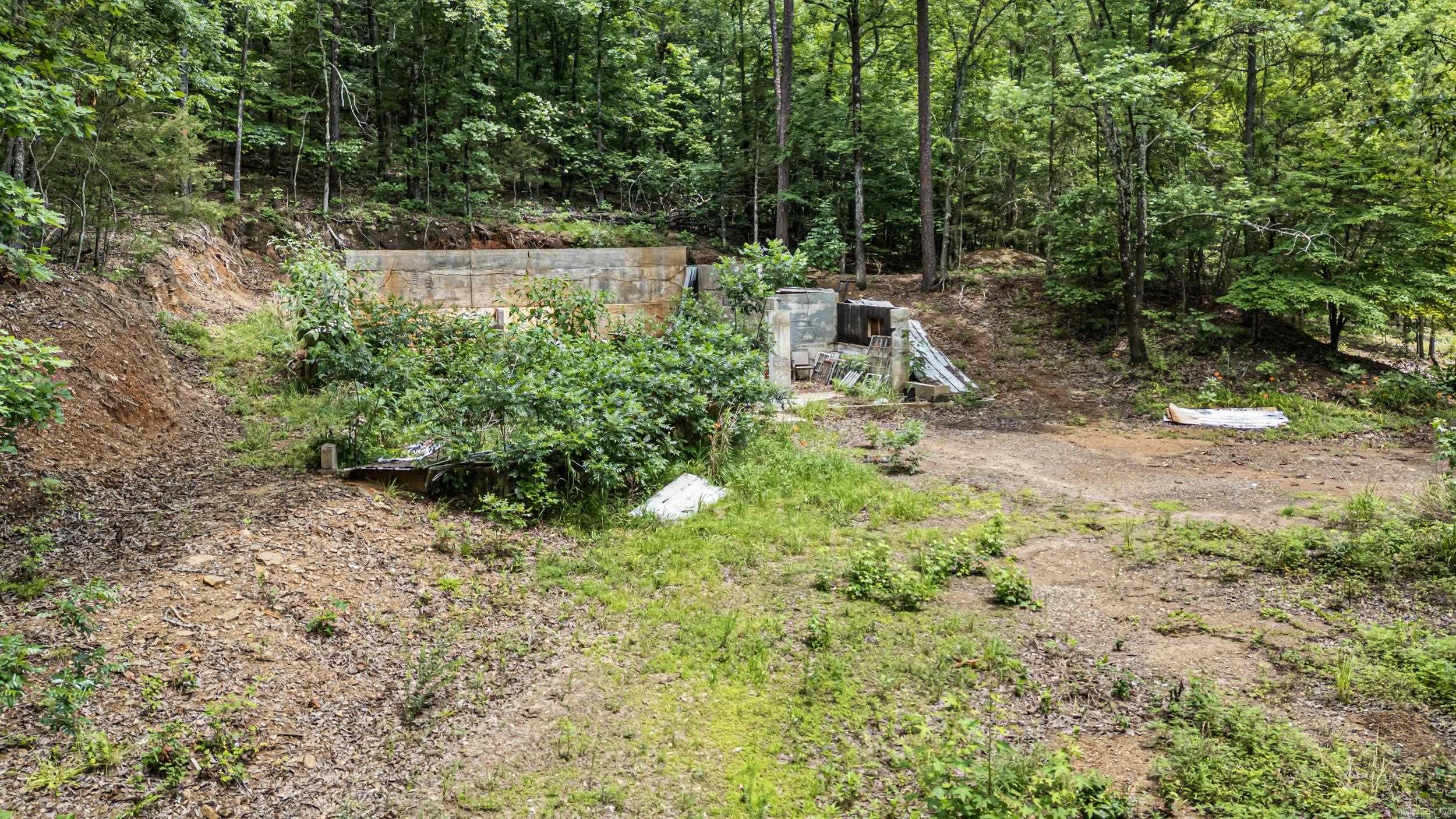1656 Walnut Valley  Dover, AR