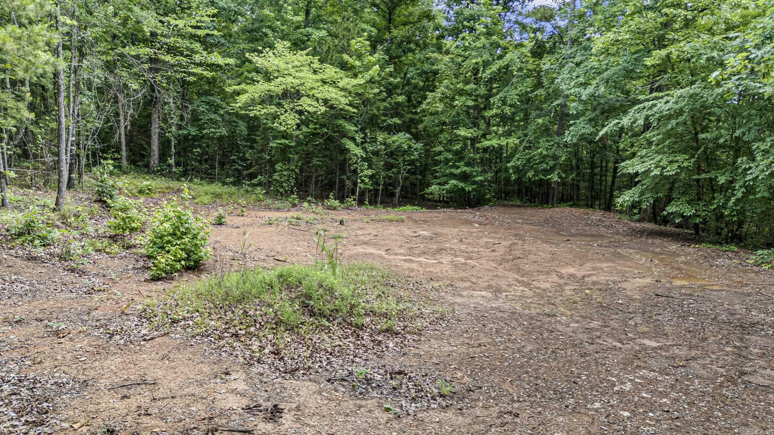1656 Walnut Valley  Dover, AR