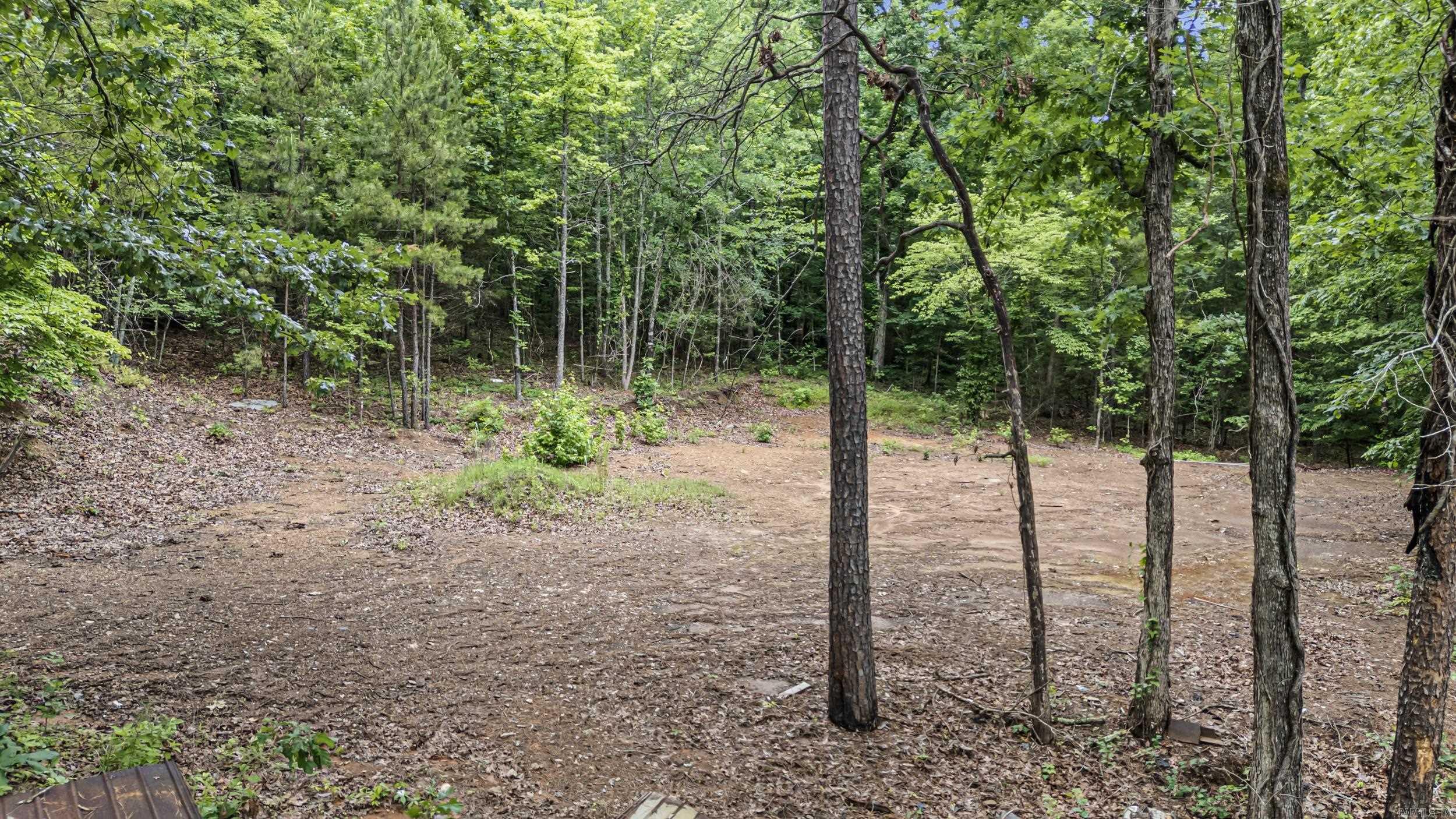 1656 Walnut Valley  Dover, AR