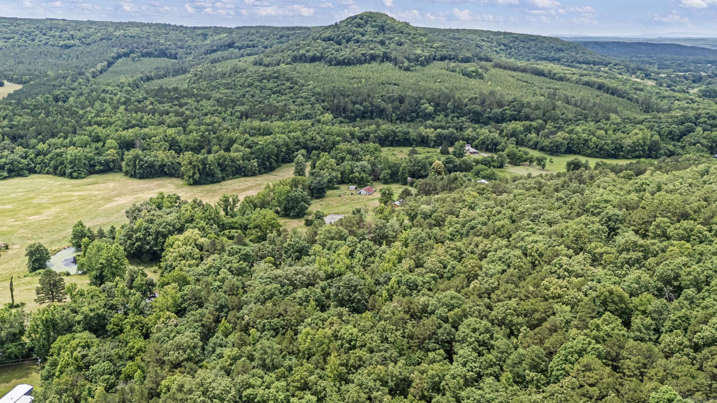 1656 Walnut Valley  Dover, AR