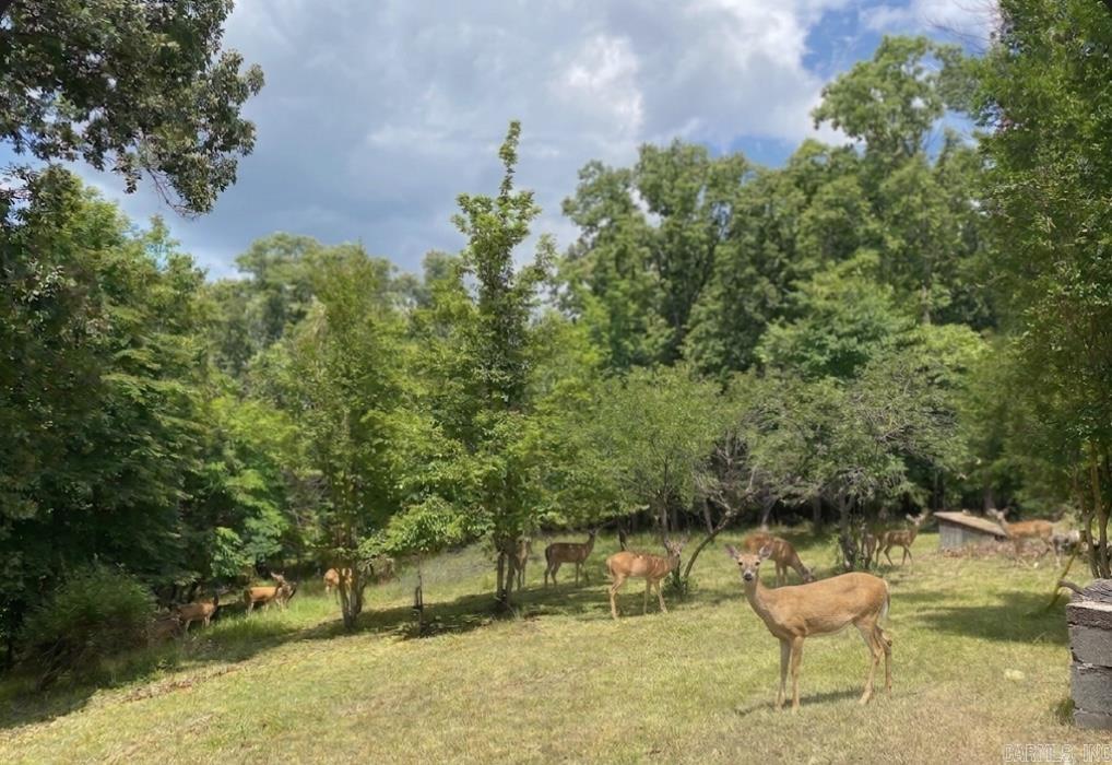 534 Oakley  Mountain Home, AR