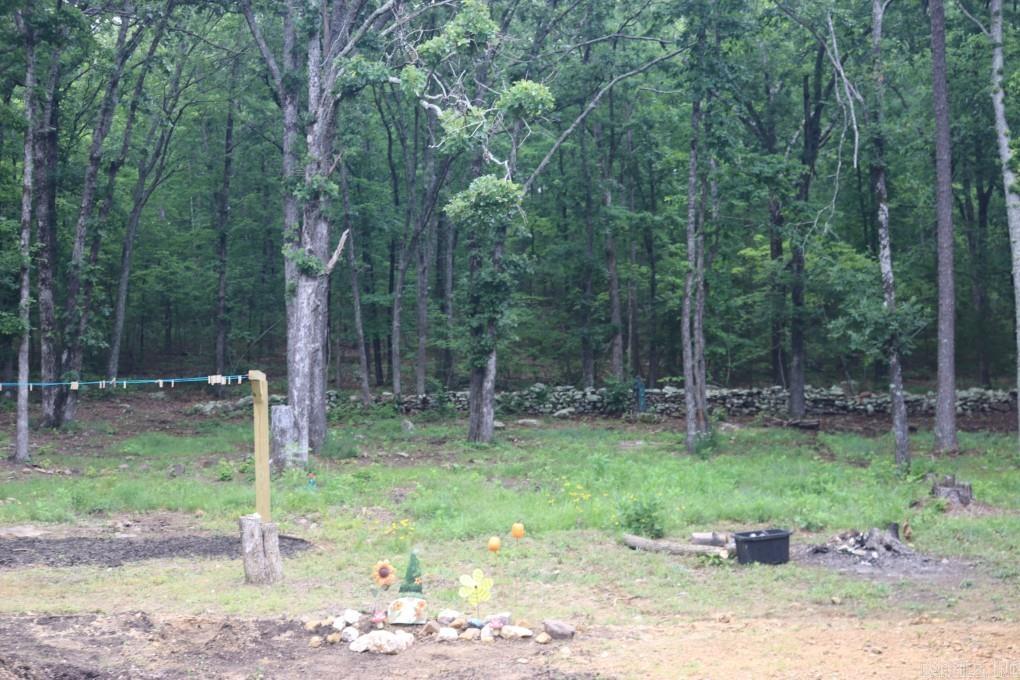 8798 Holly Mountain  Clinton, AR