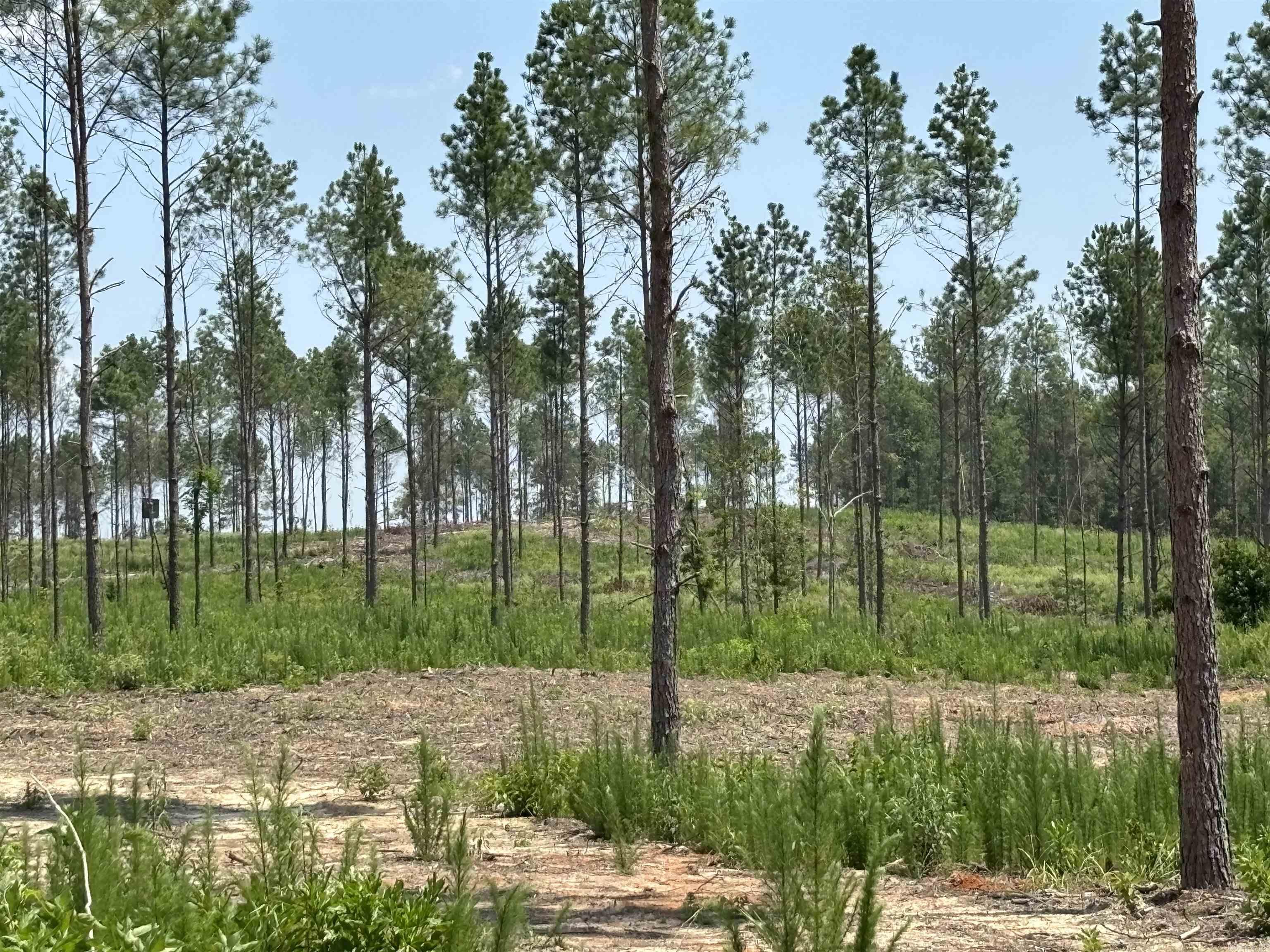 0 Grant 43 (D)  Sheridan, AR