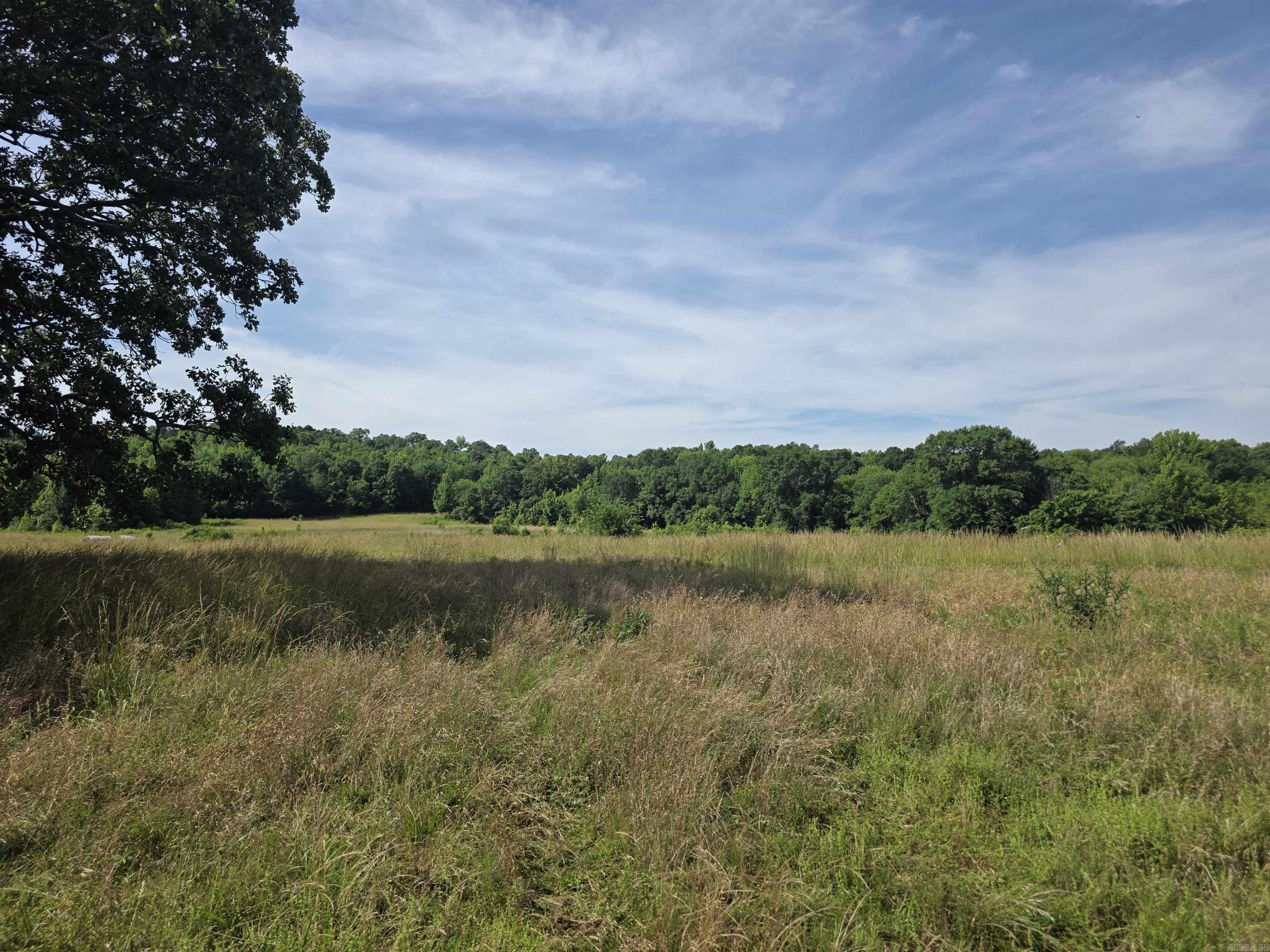 Unk Polk Road 149  Hatfield, AR