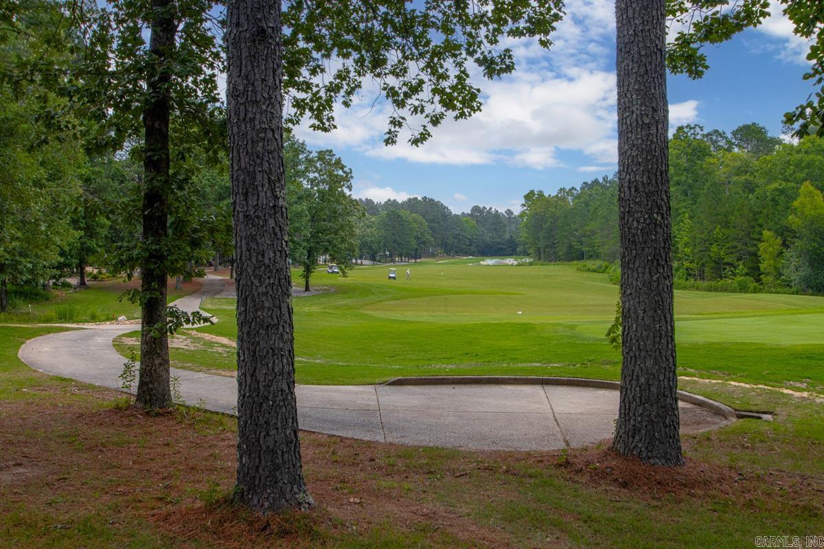 7 Vencedor Way  Hot Springs Village, AR