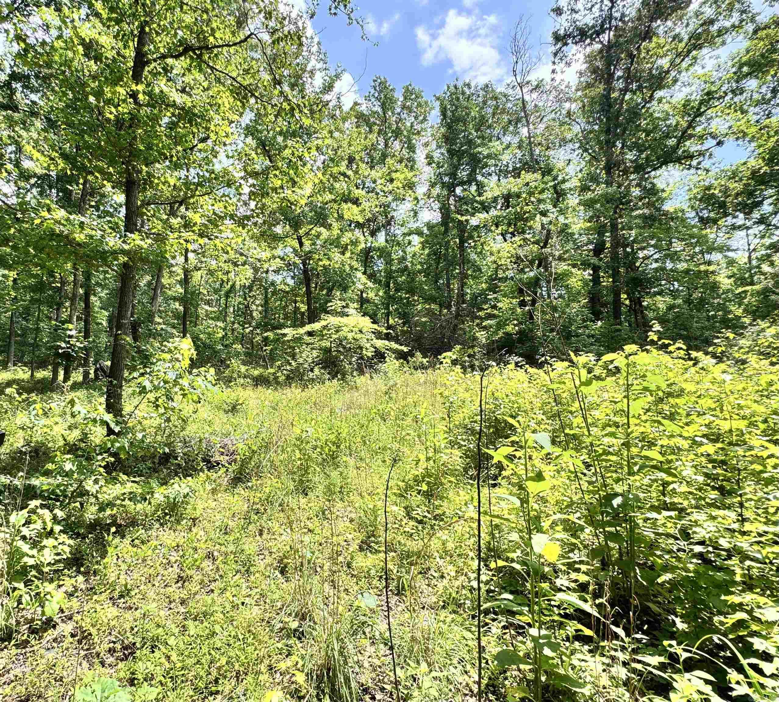 00 Meadow Creek  Clinton, AR