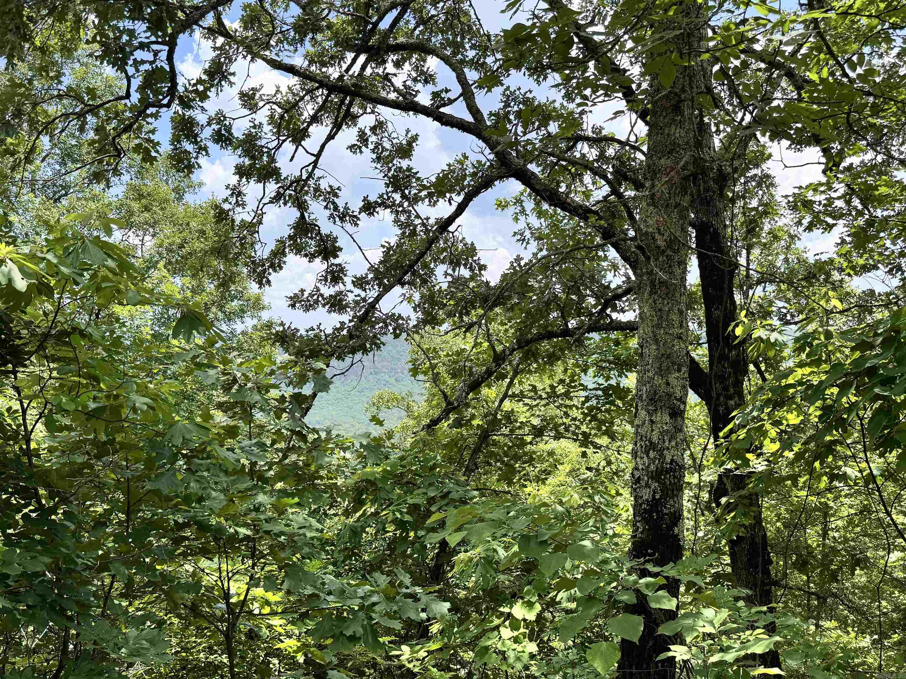 00 Meadow Creek  Clinton, AR