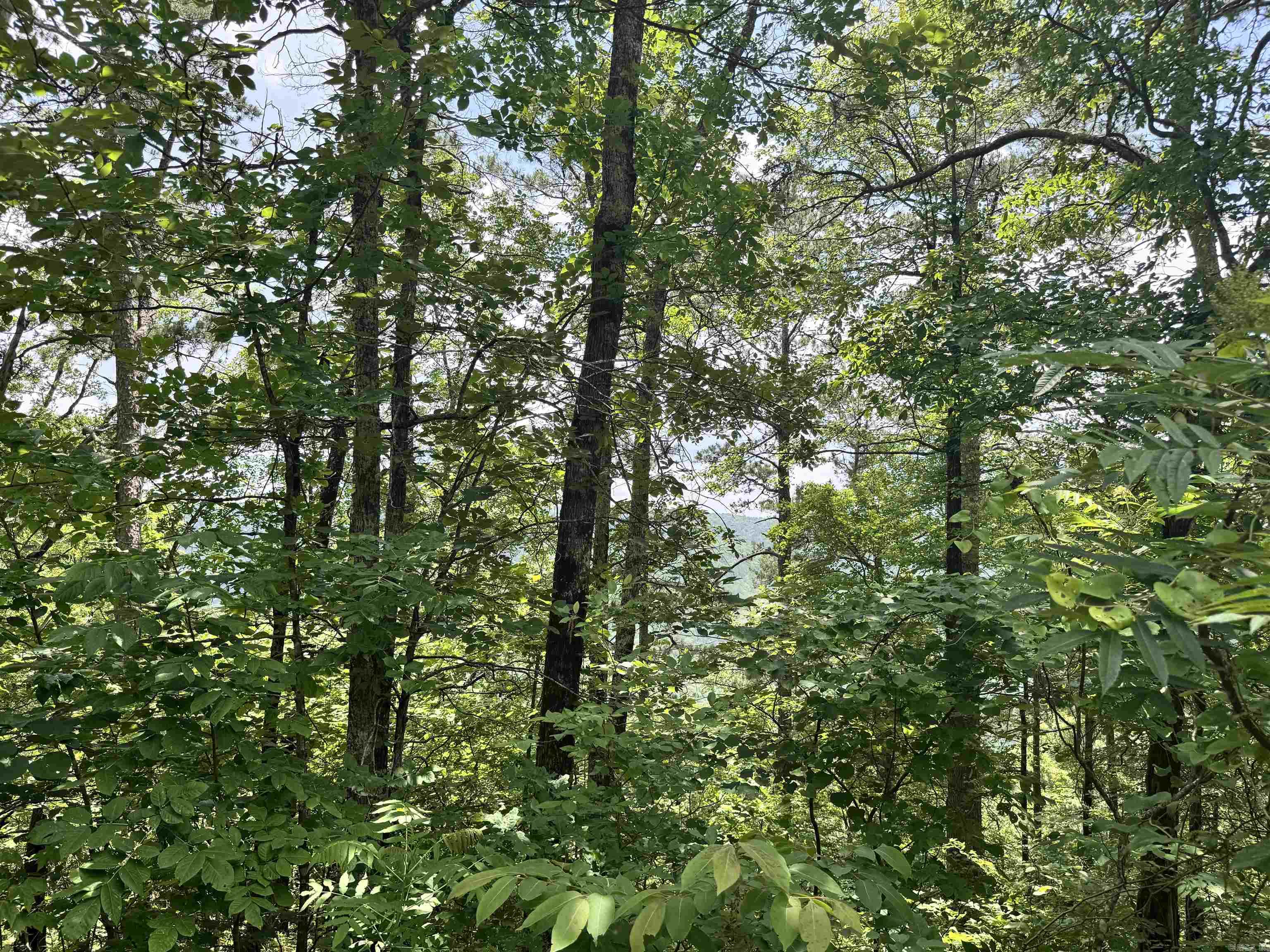 00 Meadow Creek  Clinton, AR