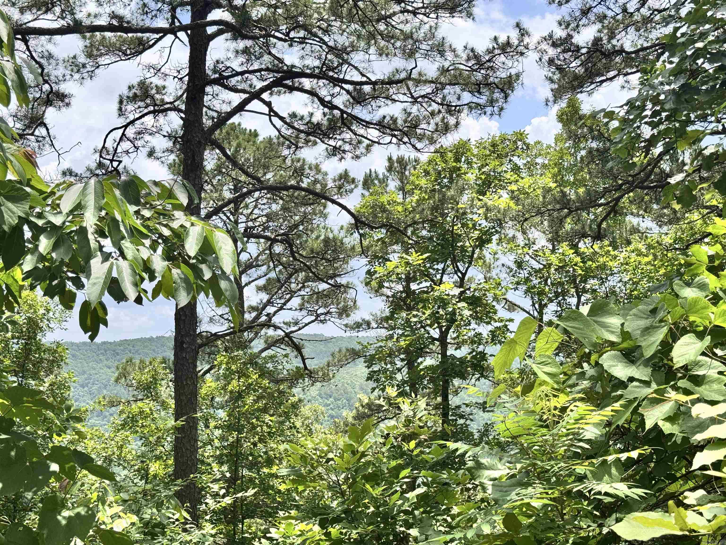 00 Meadow Creek  Clinton, AR
