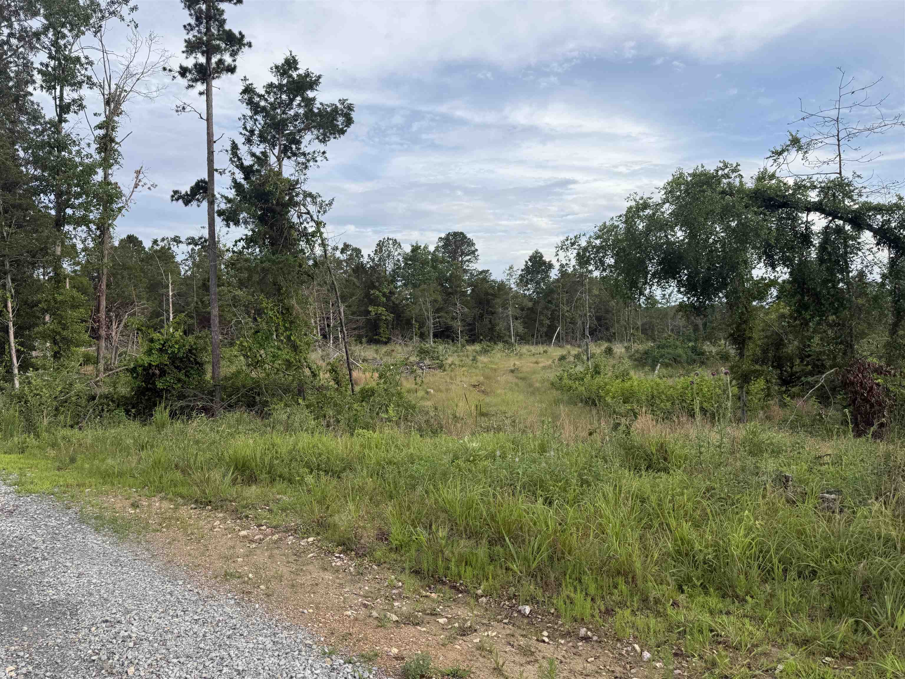 30A Kerley Point Road  Elizabeth, AR