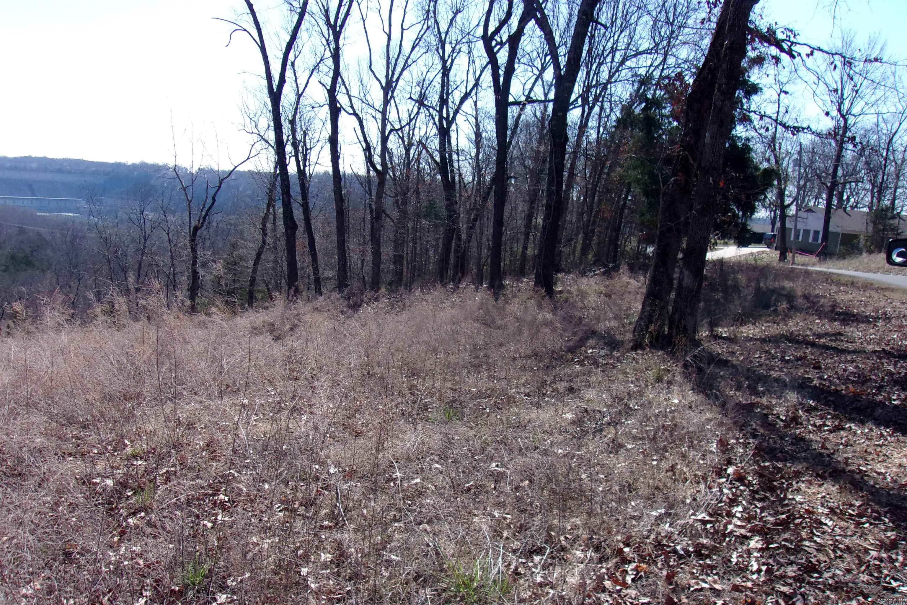 lots Country Club Ln 14,15,16 Bull Shoals, AR