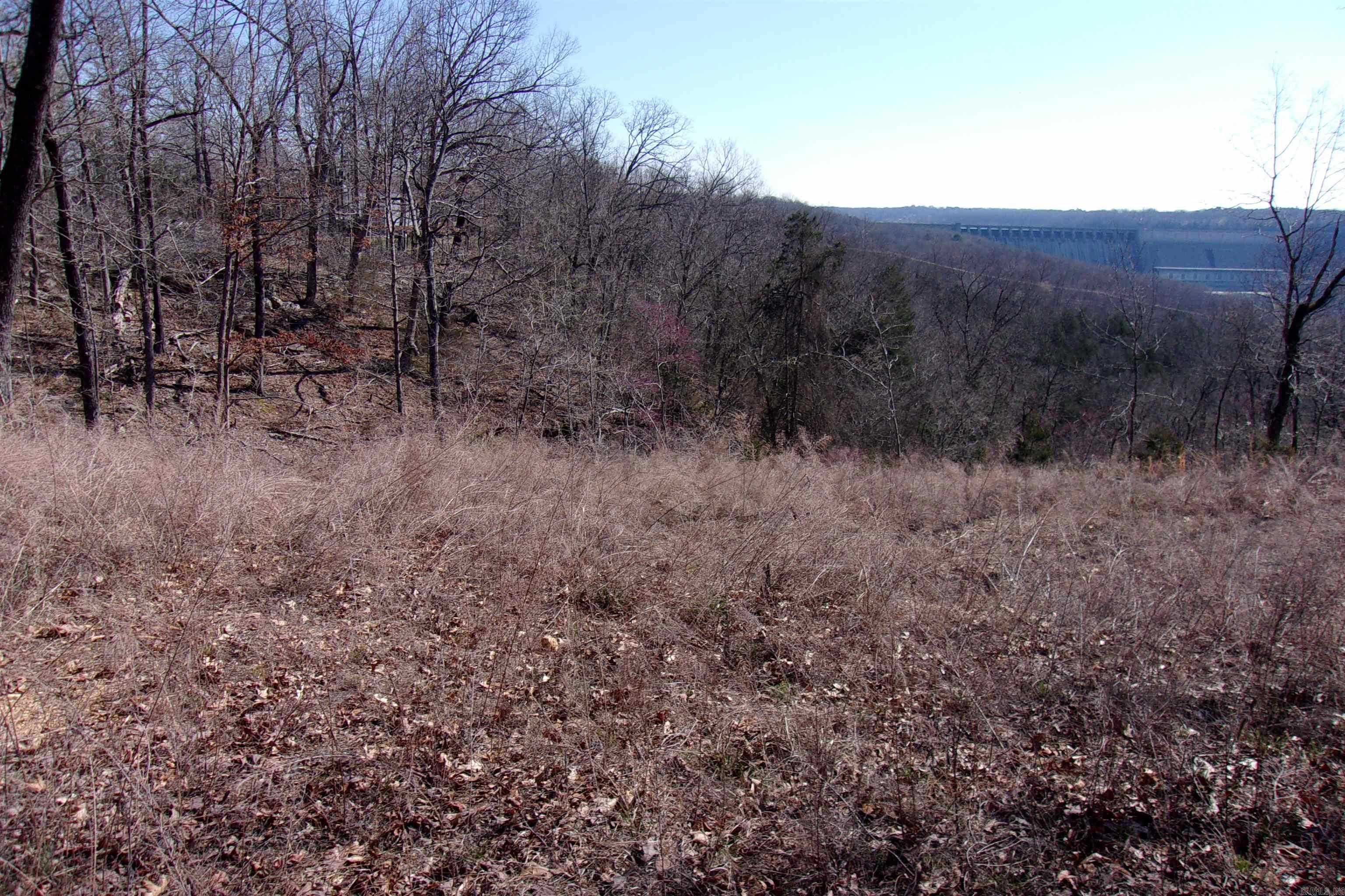 lots Country Club Ln 14,15,16 Bull Shoals, AR