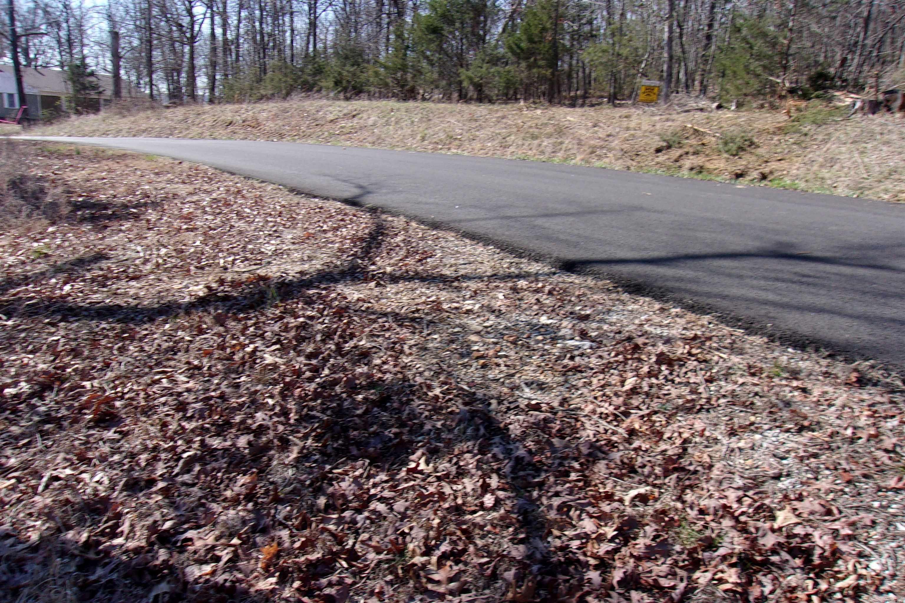 lots Country Club Ln 14,15,16 Bull Shoals, AR