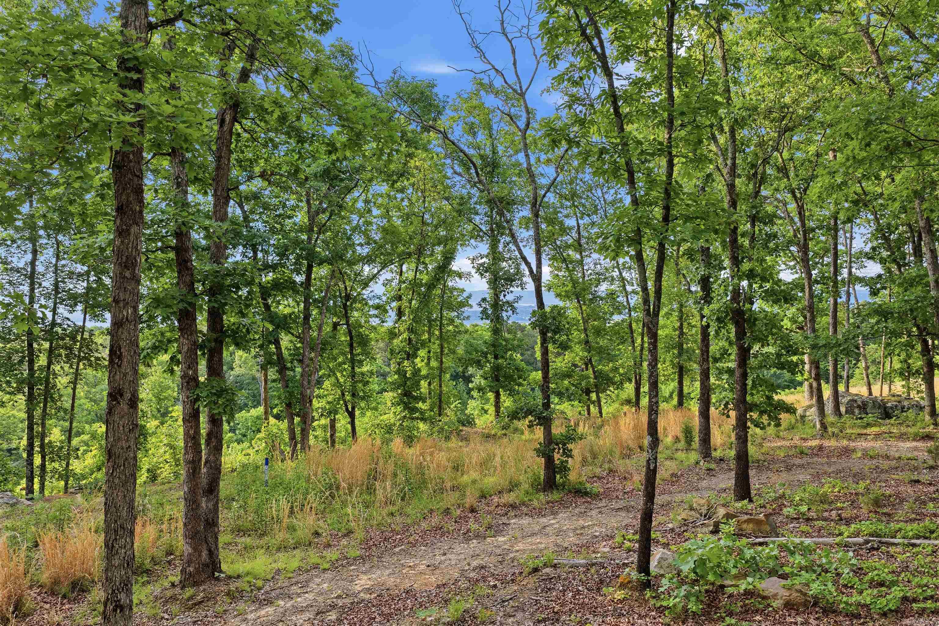 127 Osage Point Dr  Fairfield Bay, AR