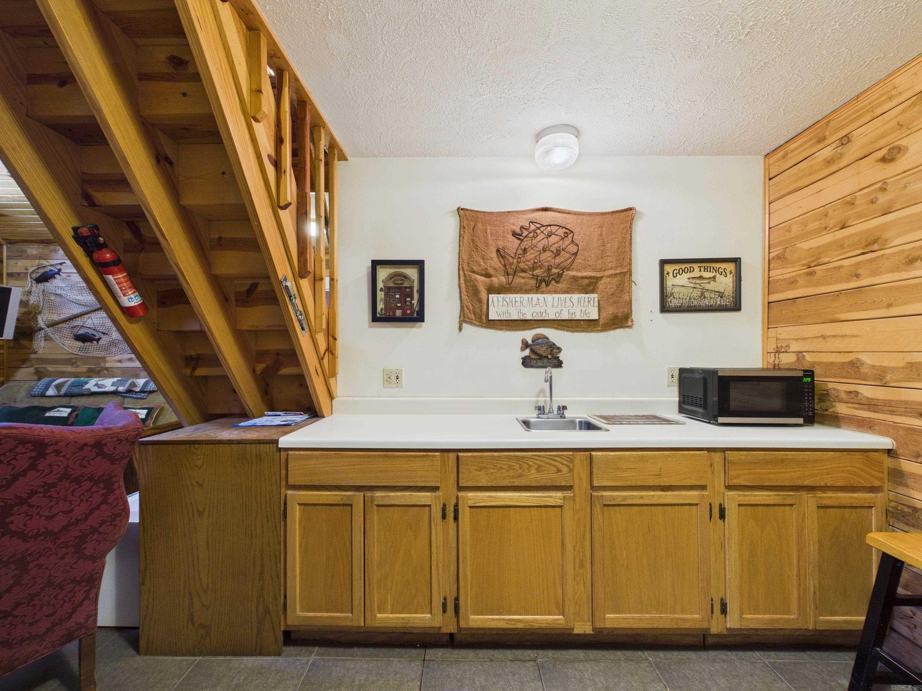 444 Cedar Cabin Lane  Calico Rock, AR