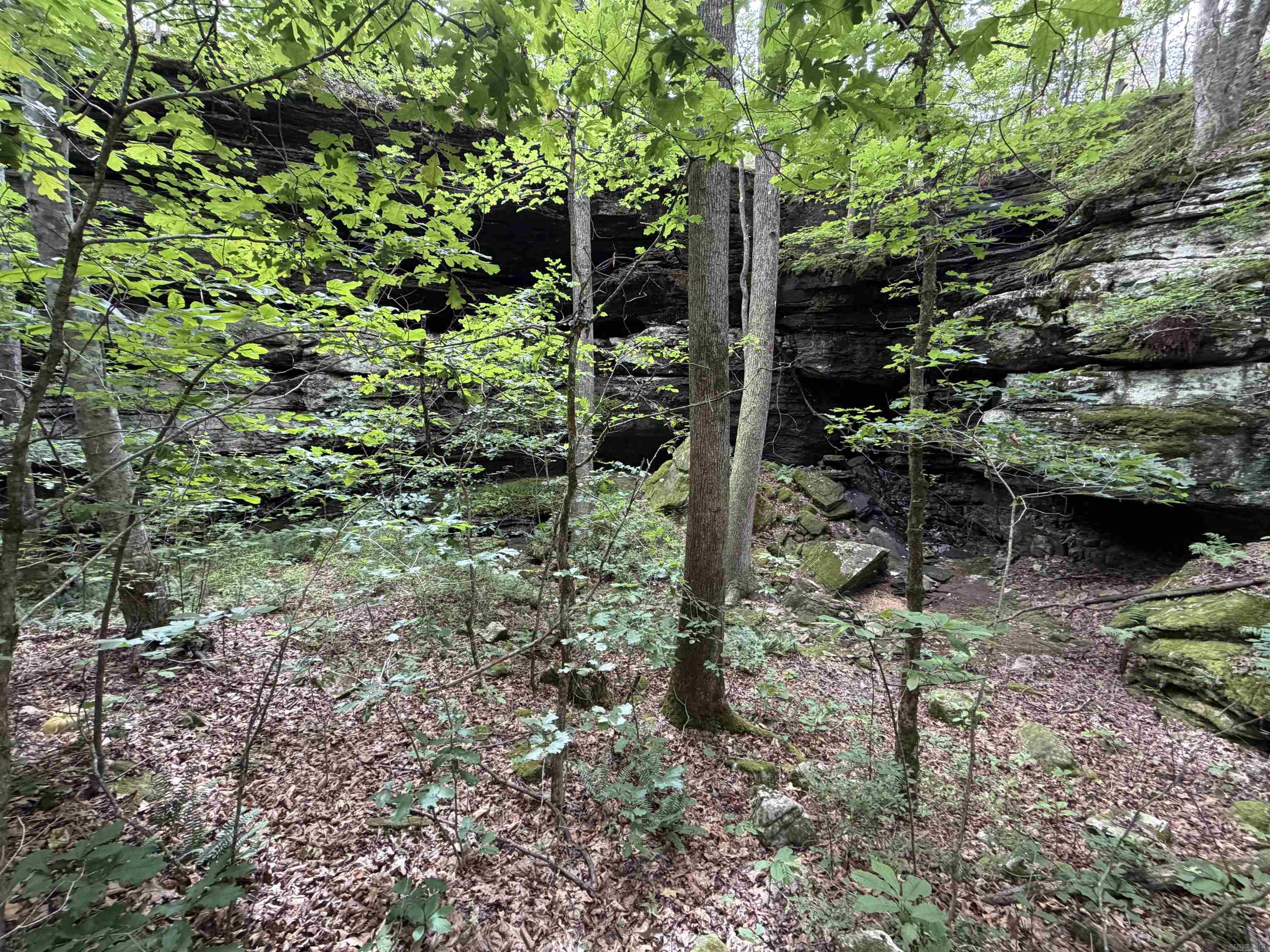444 Cedar Cabin Lane  Calico Rock, AR